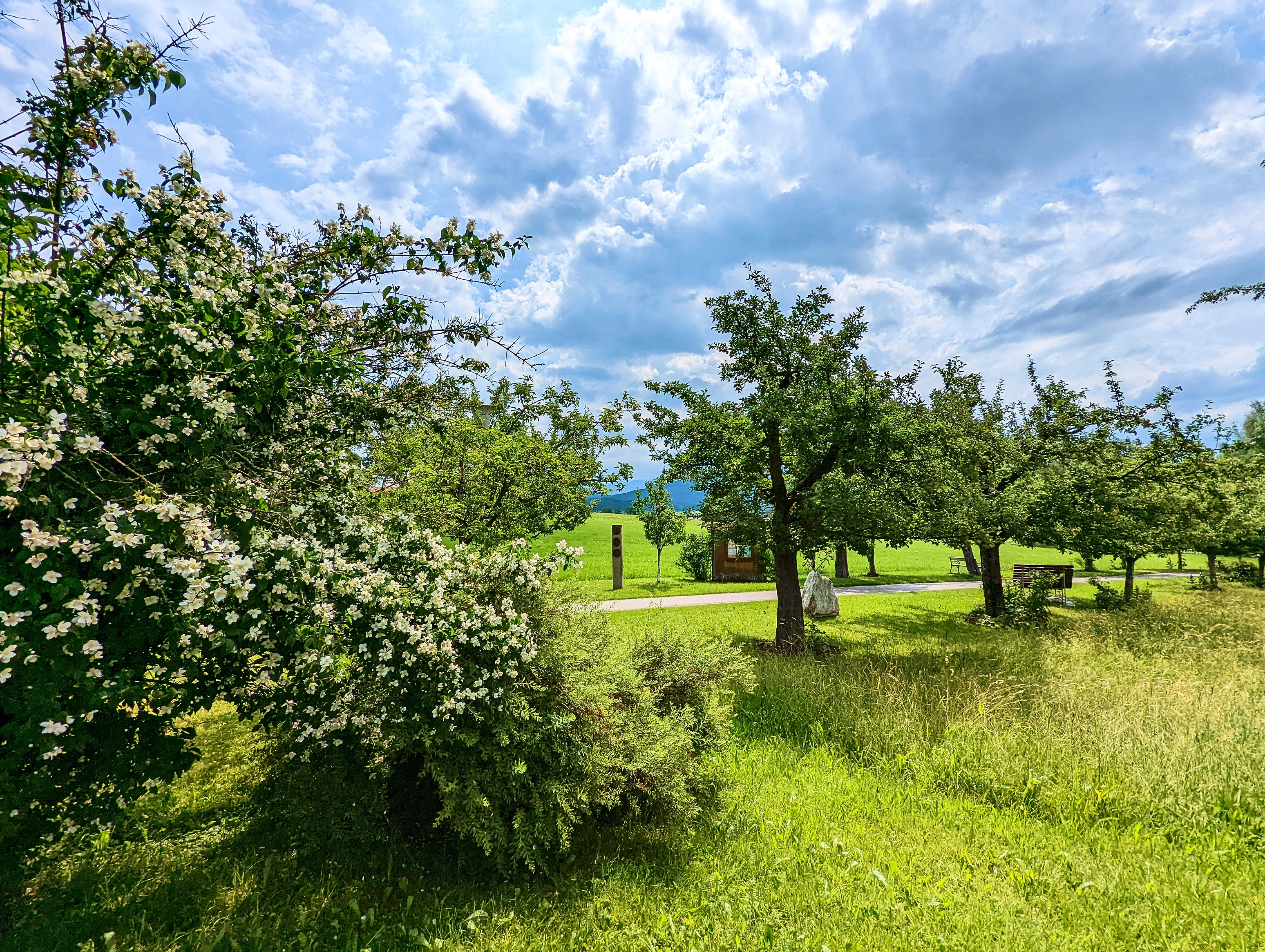 Aussicht beim Tanken
