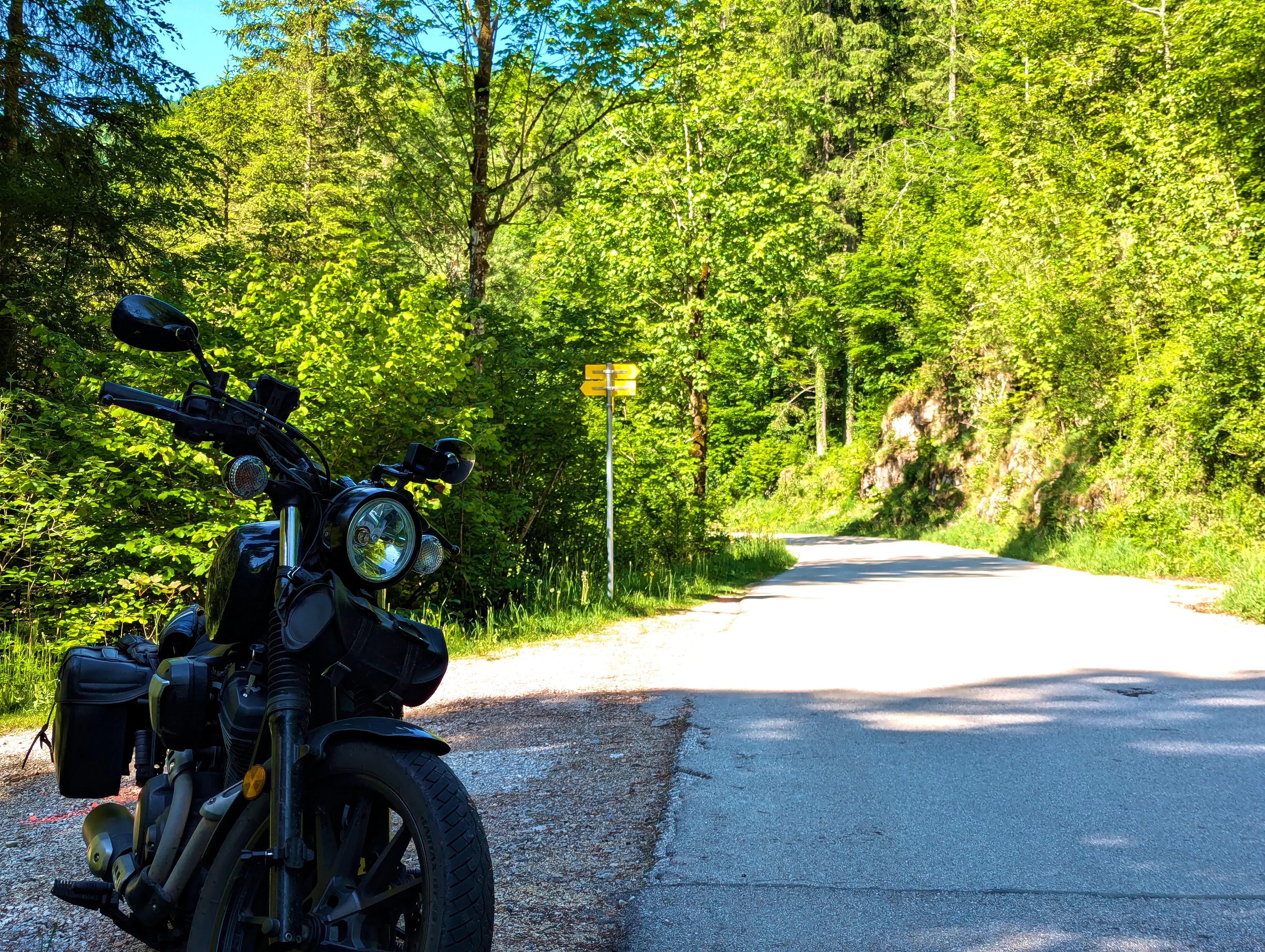 &hellip; im Wald &hellip;