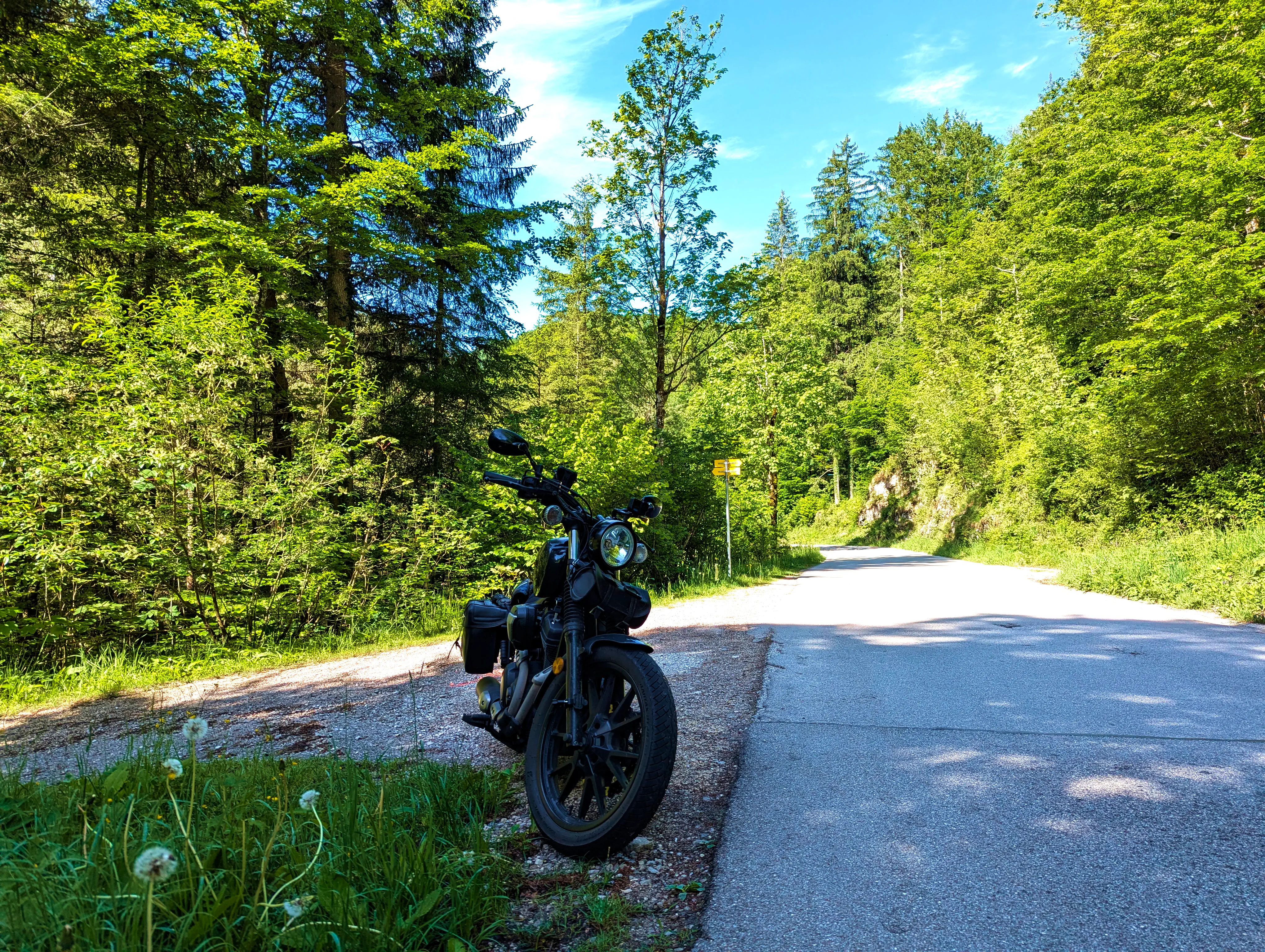 &hellip; am Straßenrand.