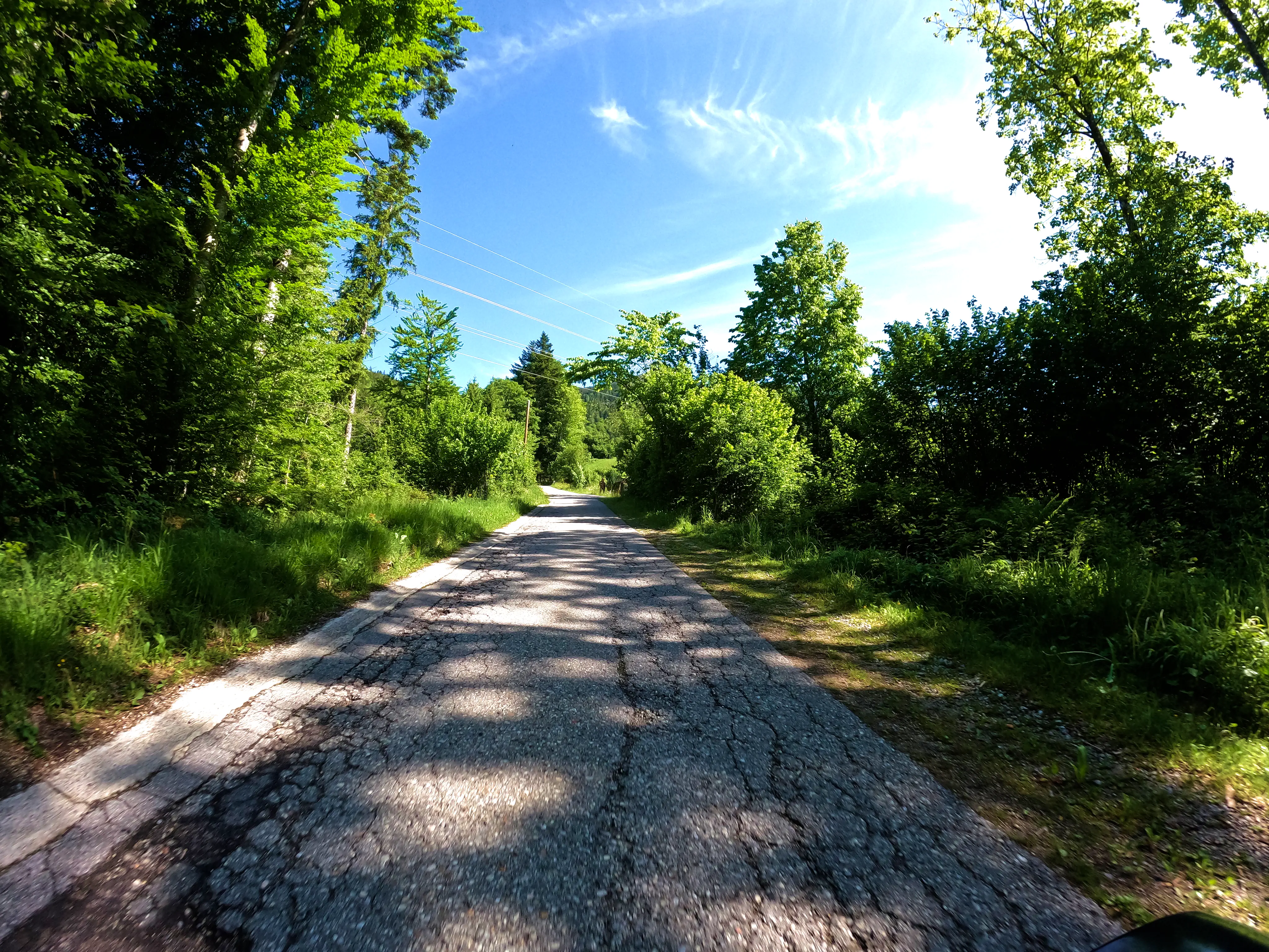 Durch Wald und &hellip;