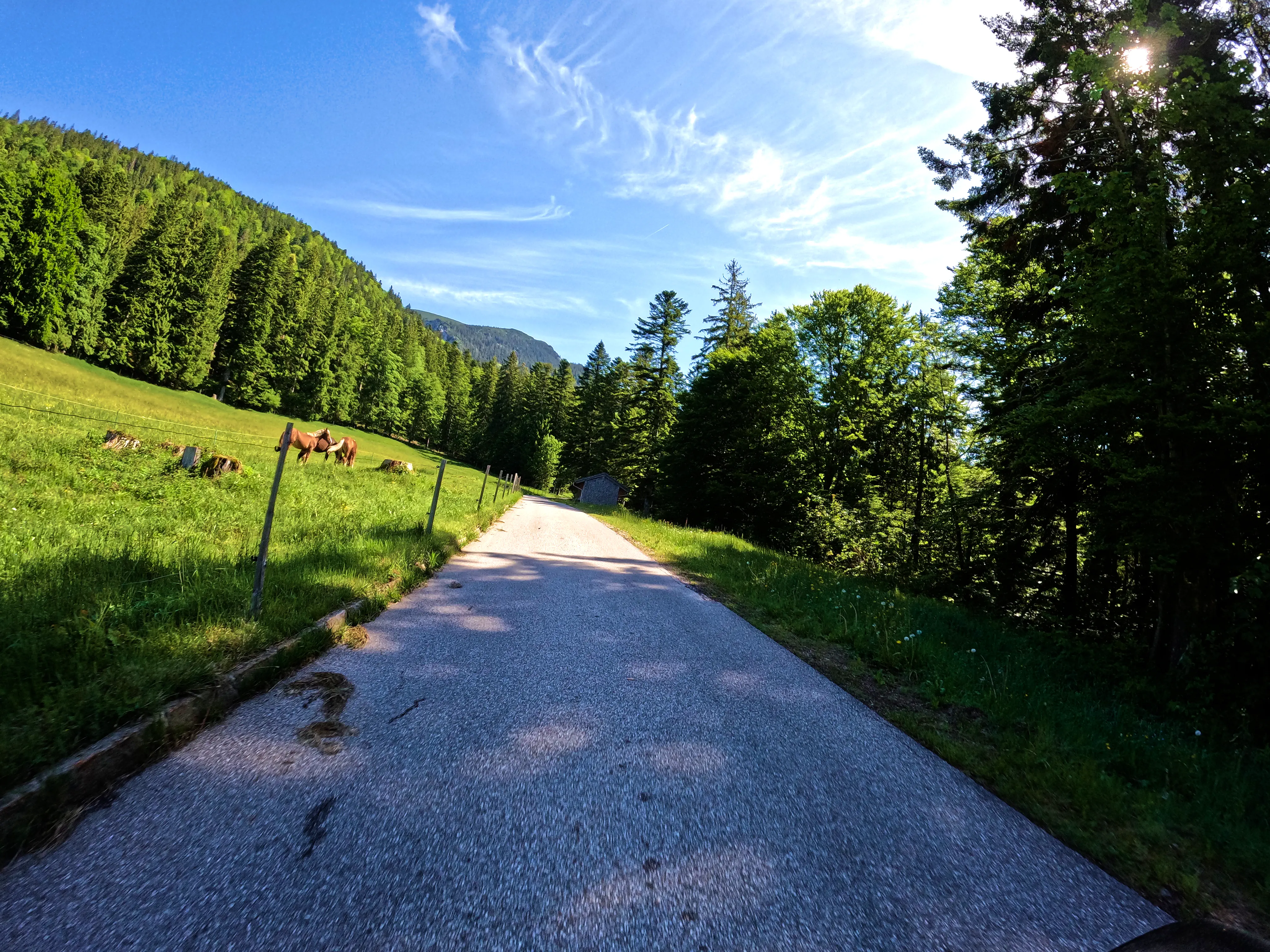 &hellip; vorbei an Pferden.