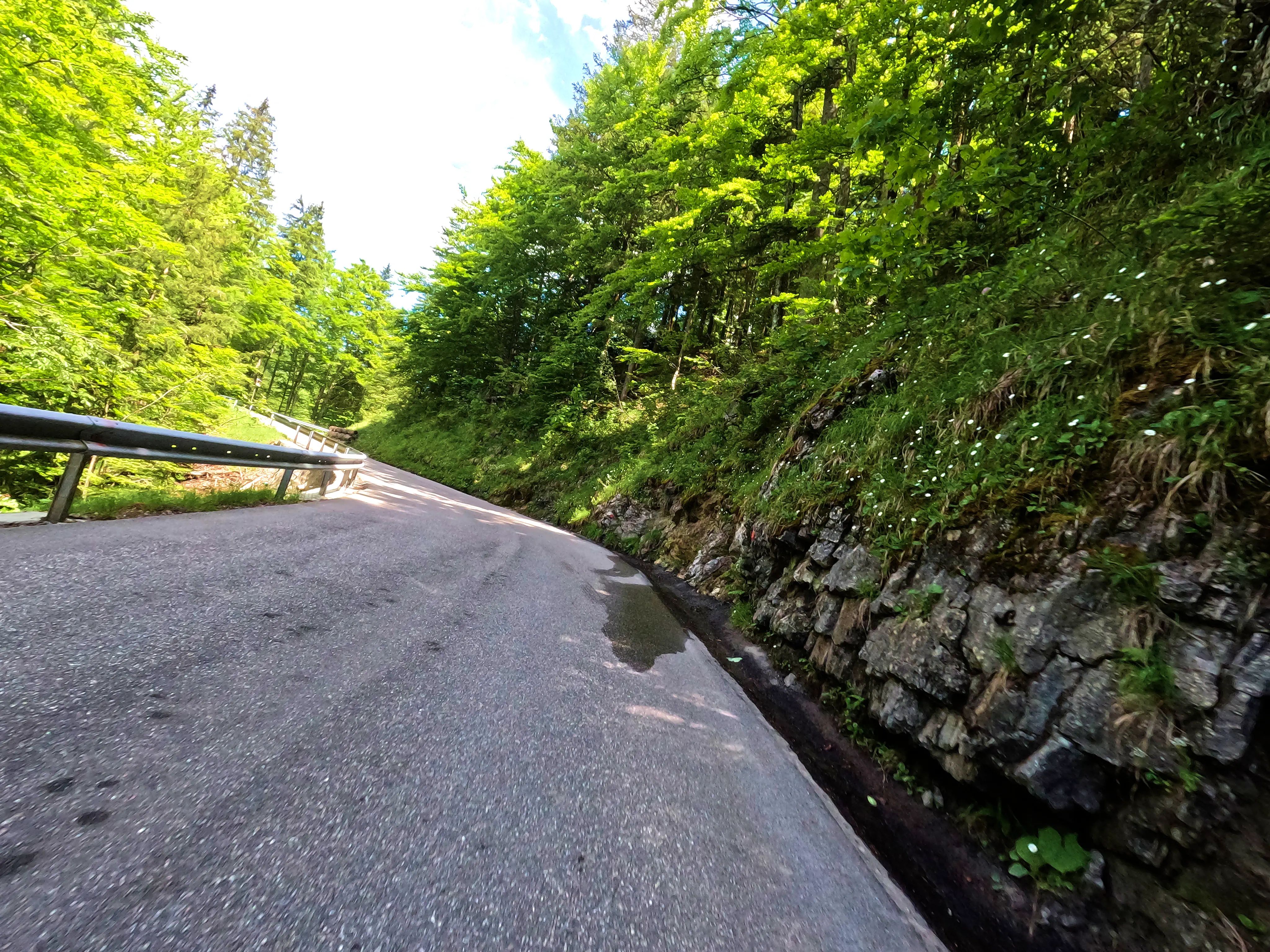 Höhenstraße Winklmoos-Alm