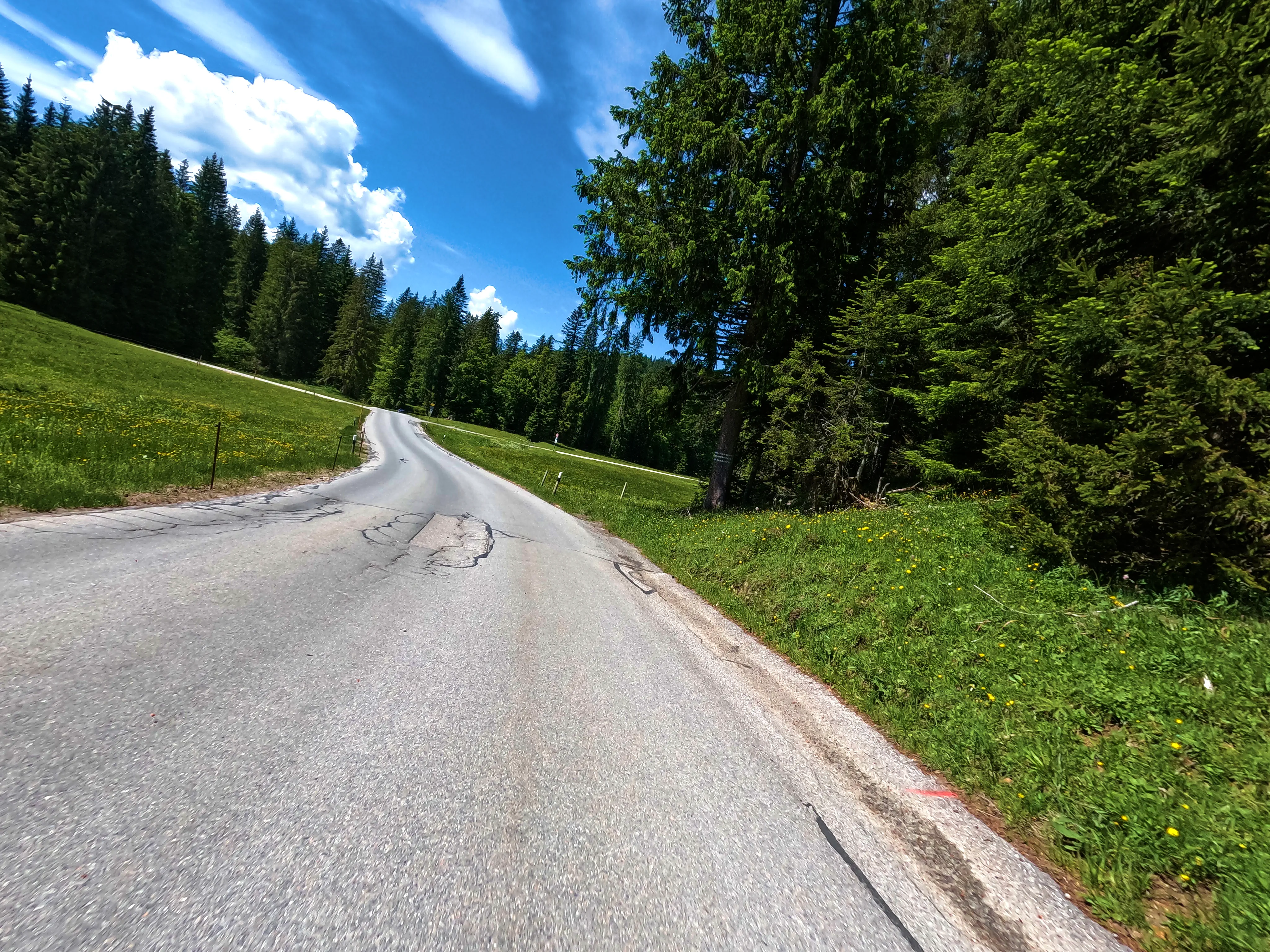 Höhenstraße Winklmoos-Alm