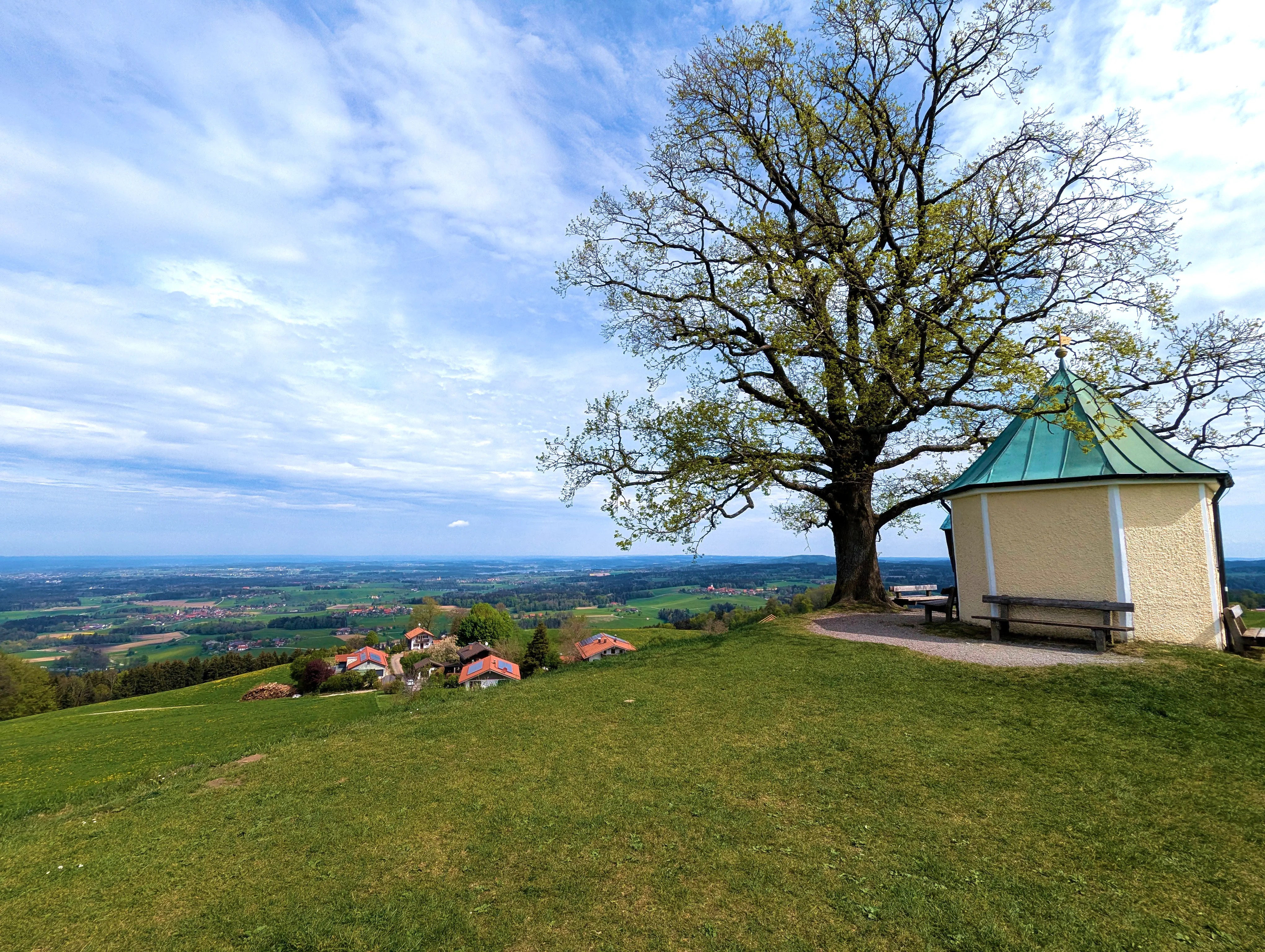 Ausblick Luitpoldeiche