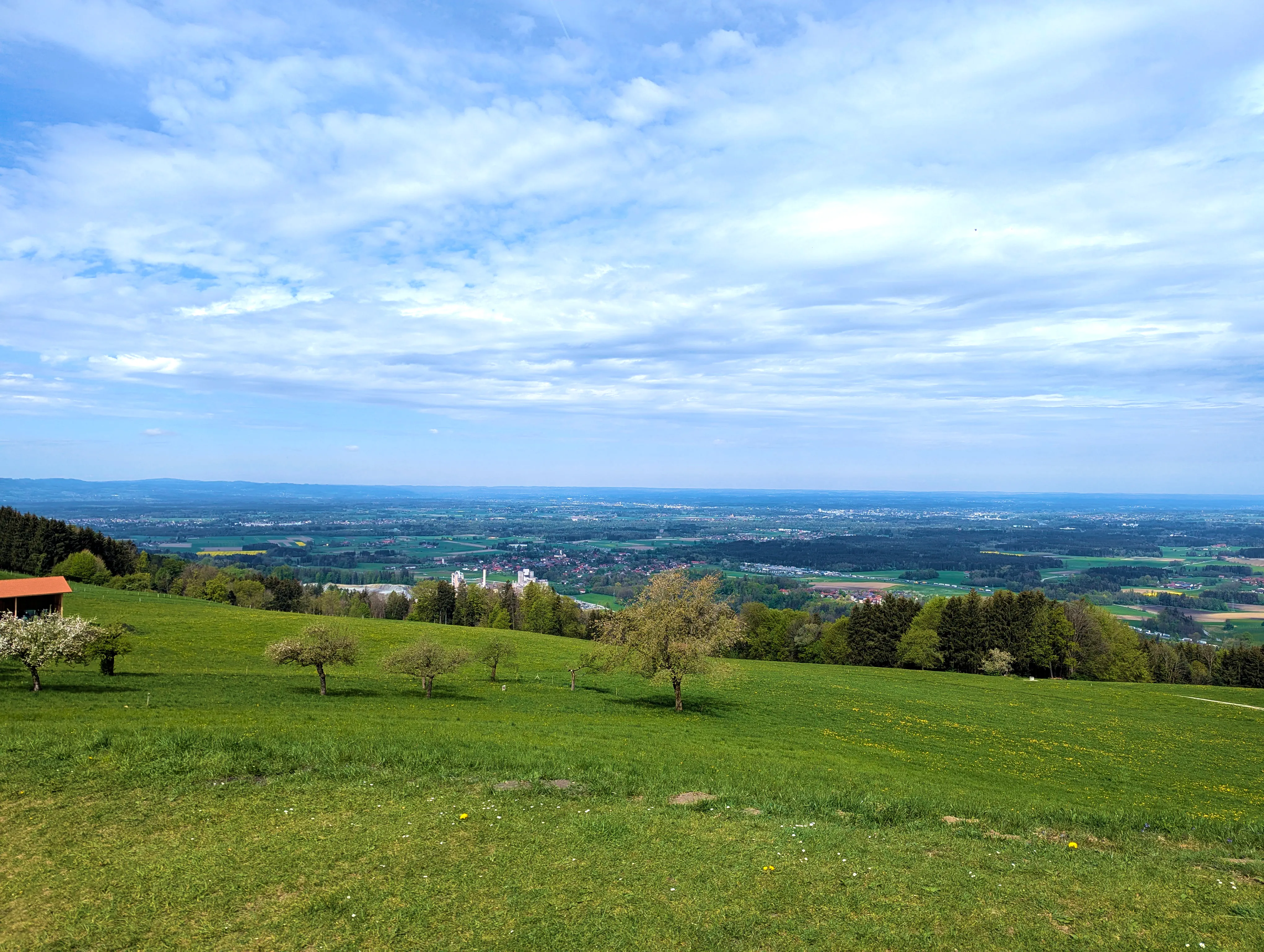Ausblick Luitpoldeiche