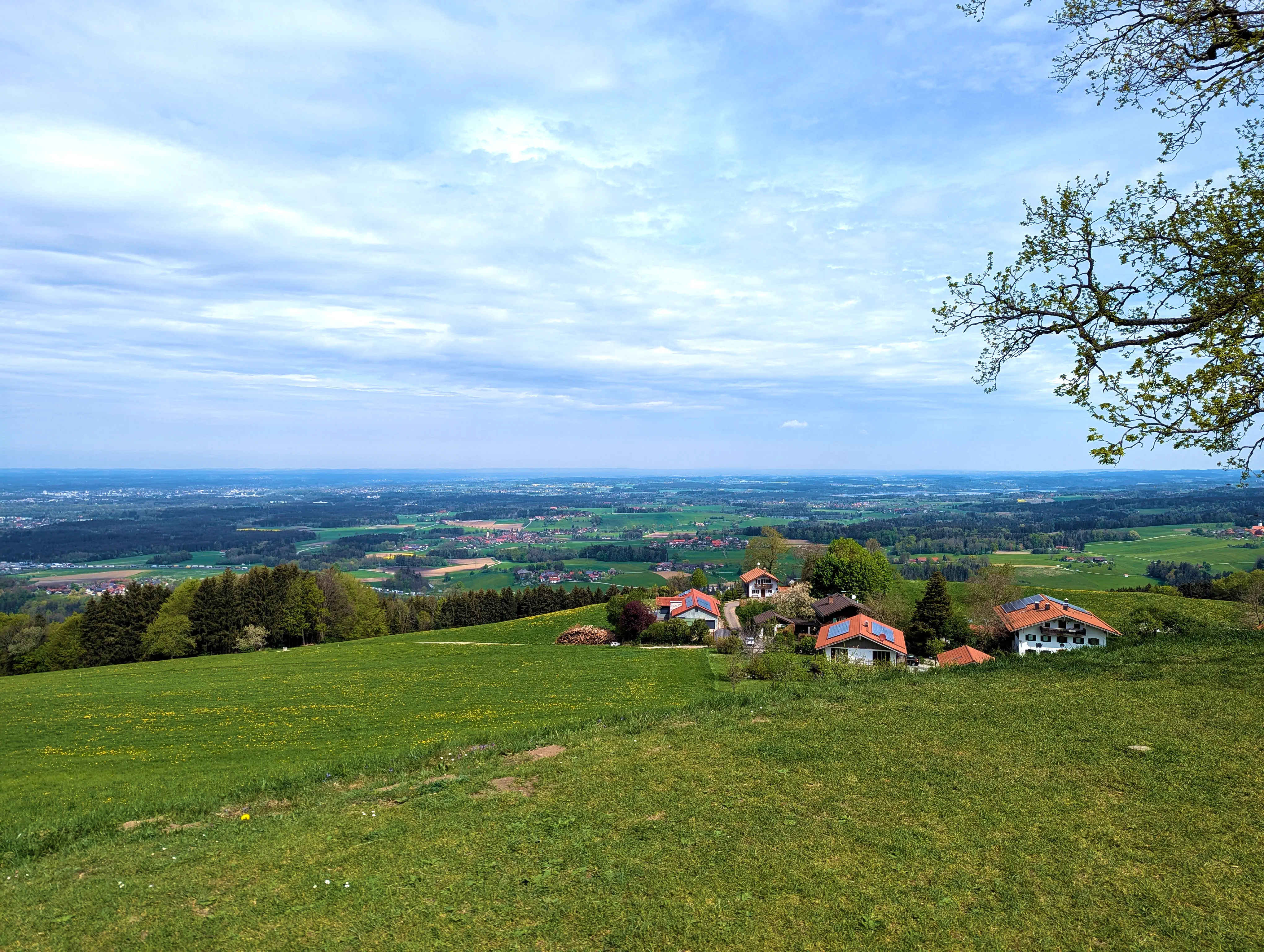 Ausblick Luitpoldeiche