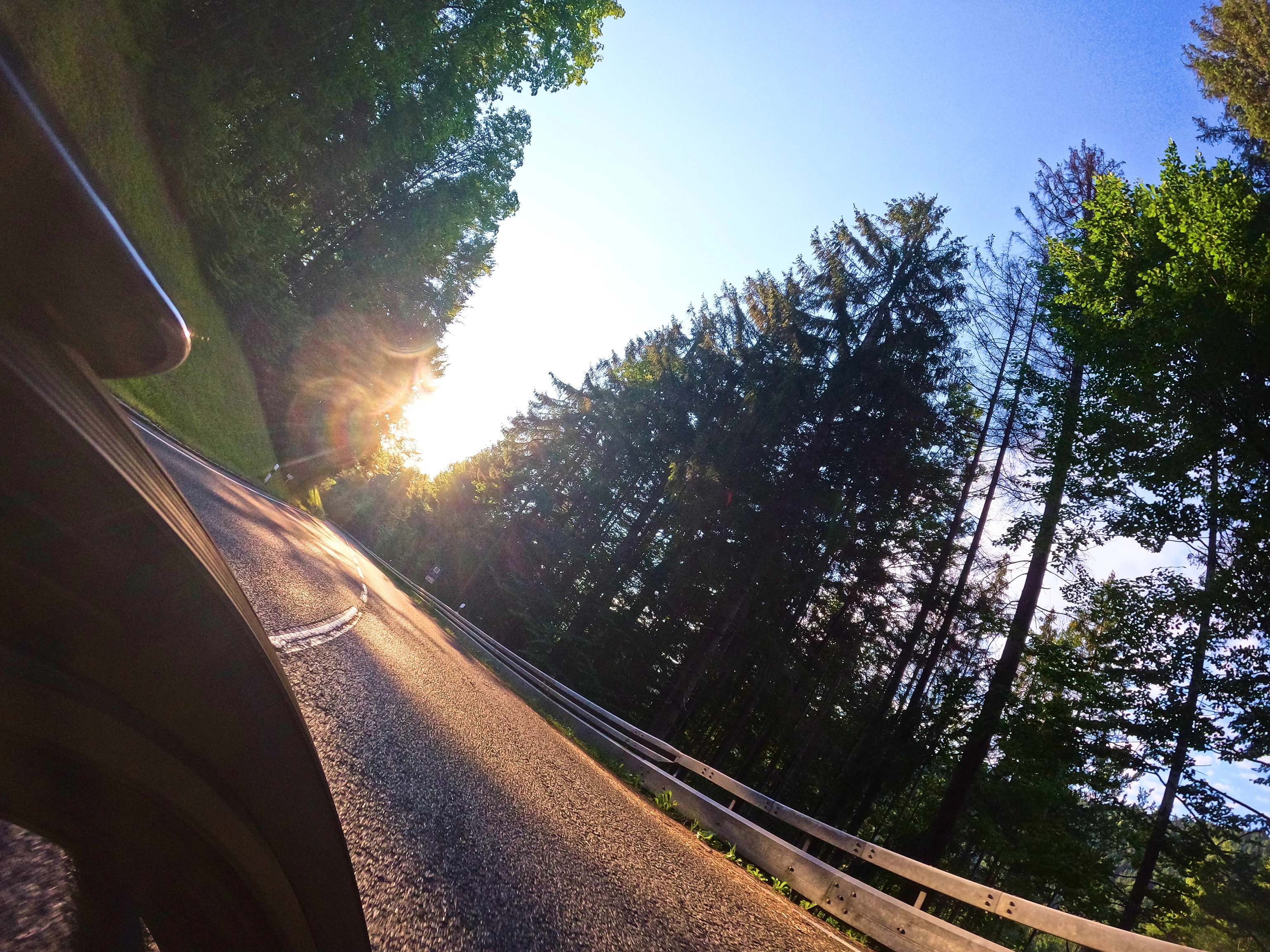 Die Sonne blitzt immer mal wieder durch Wälder