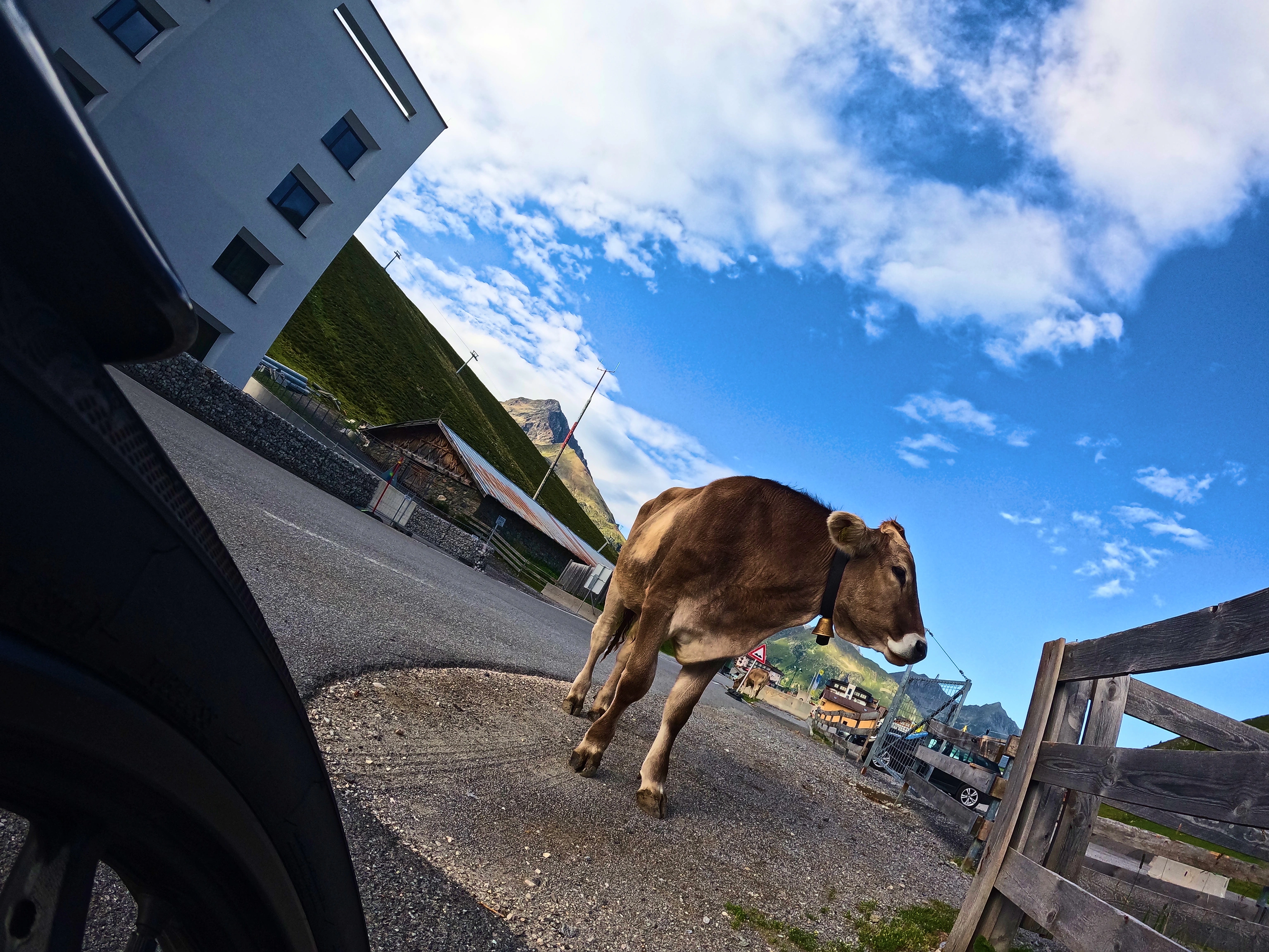 &hellip; sie etwas &hellip;