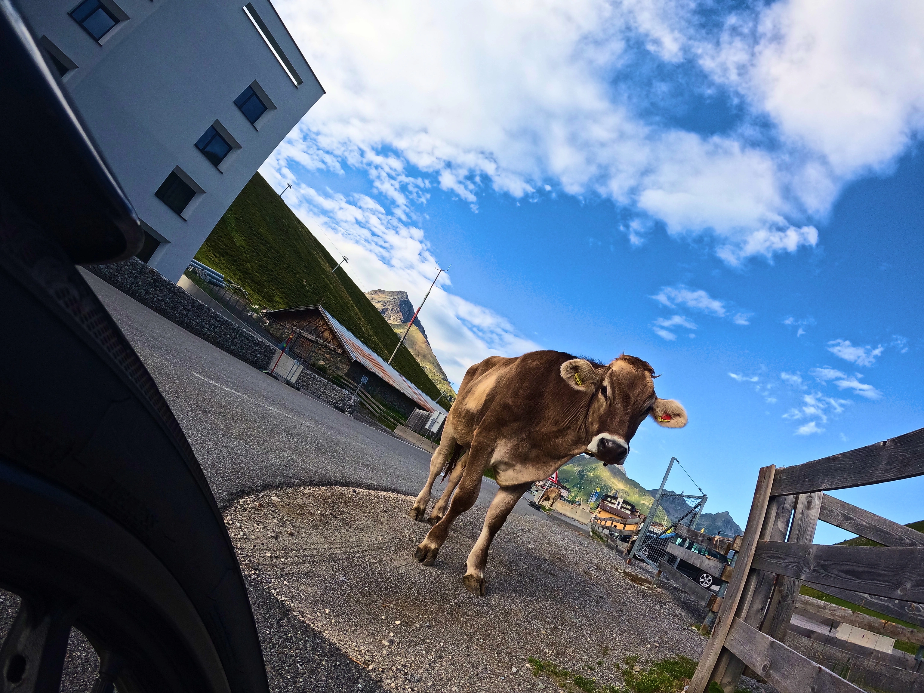 &hellip; unschlüssig.