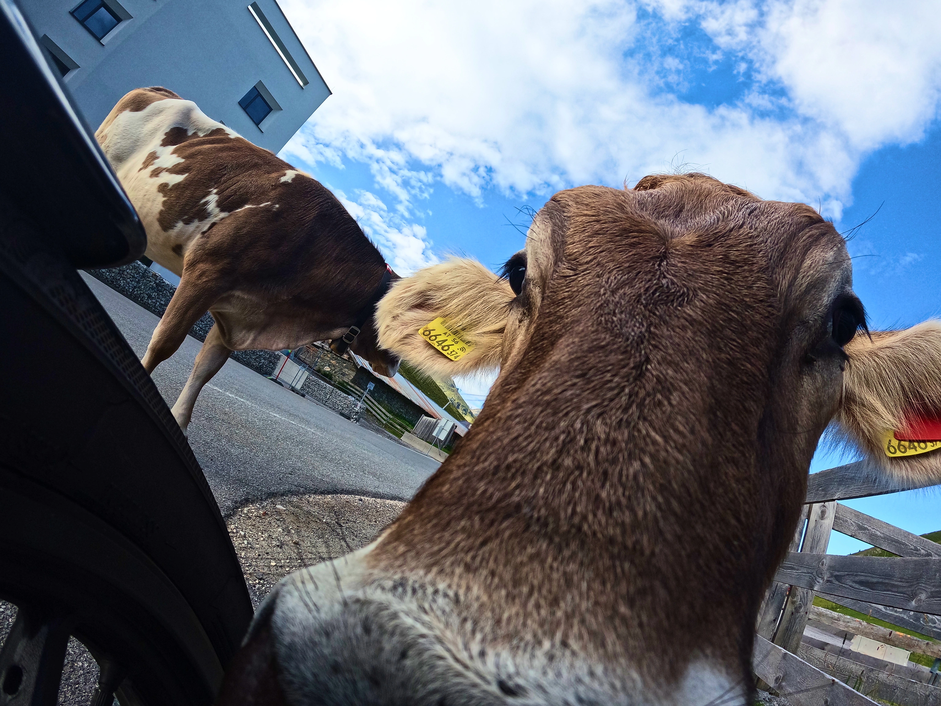 Wird die Kamera untersucht!