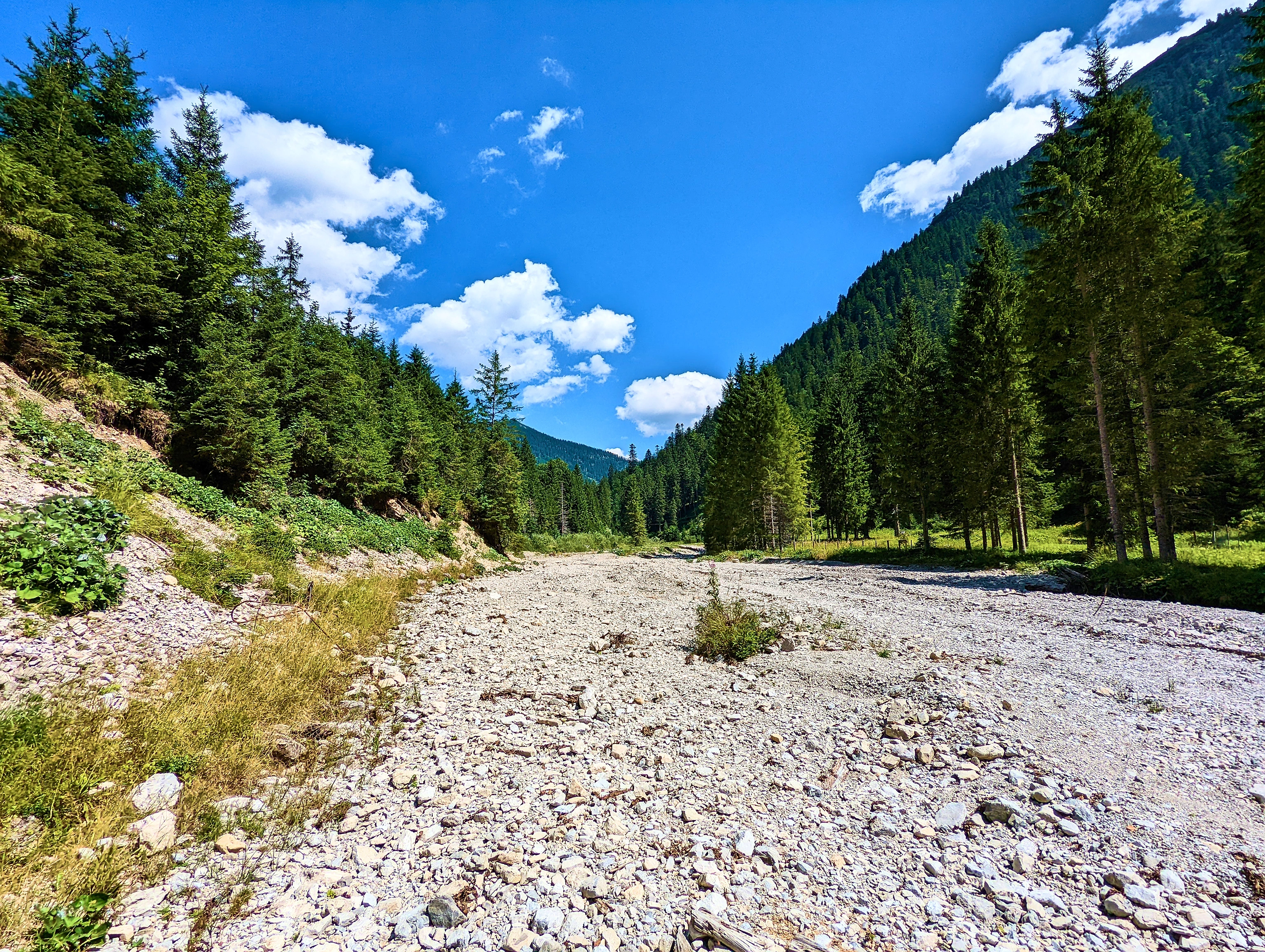 Karger, trockener Flußlauf