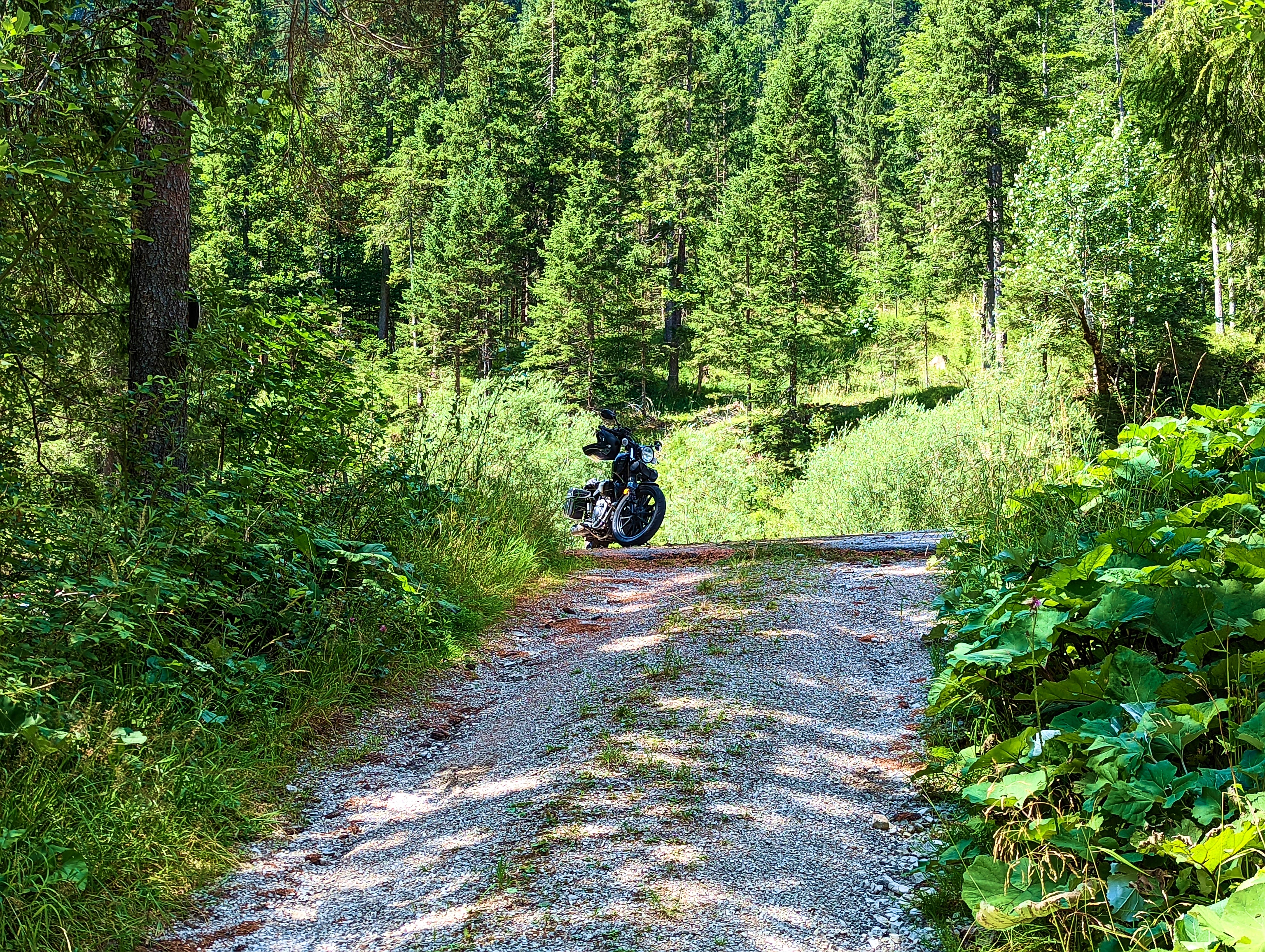 Die Bolt wartet brav