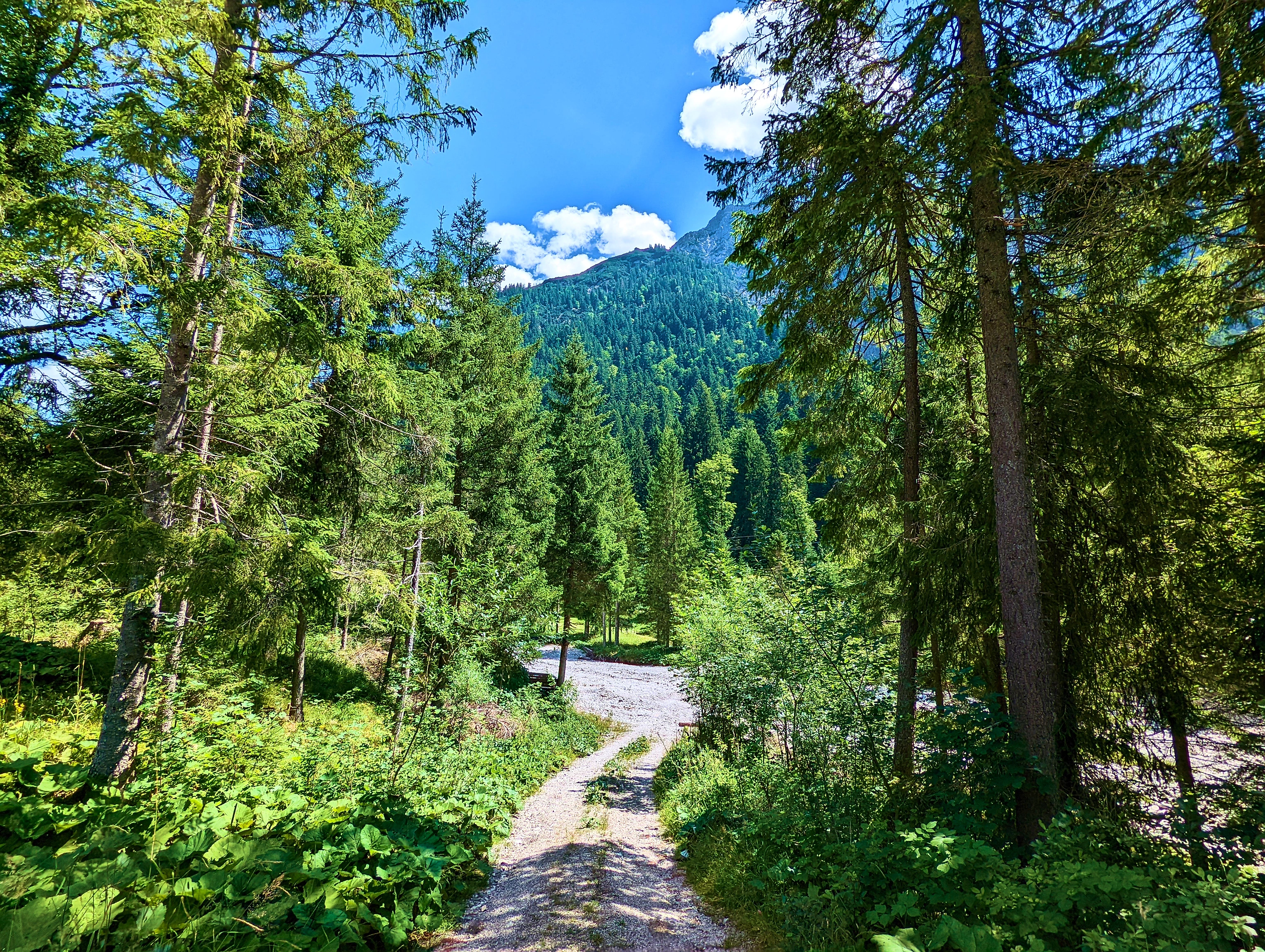 Karger, trockener Flußlauf