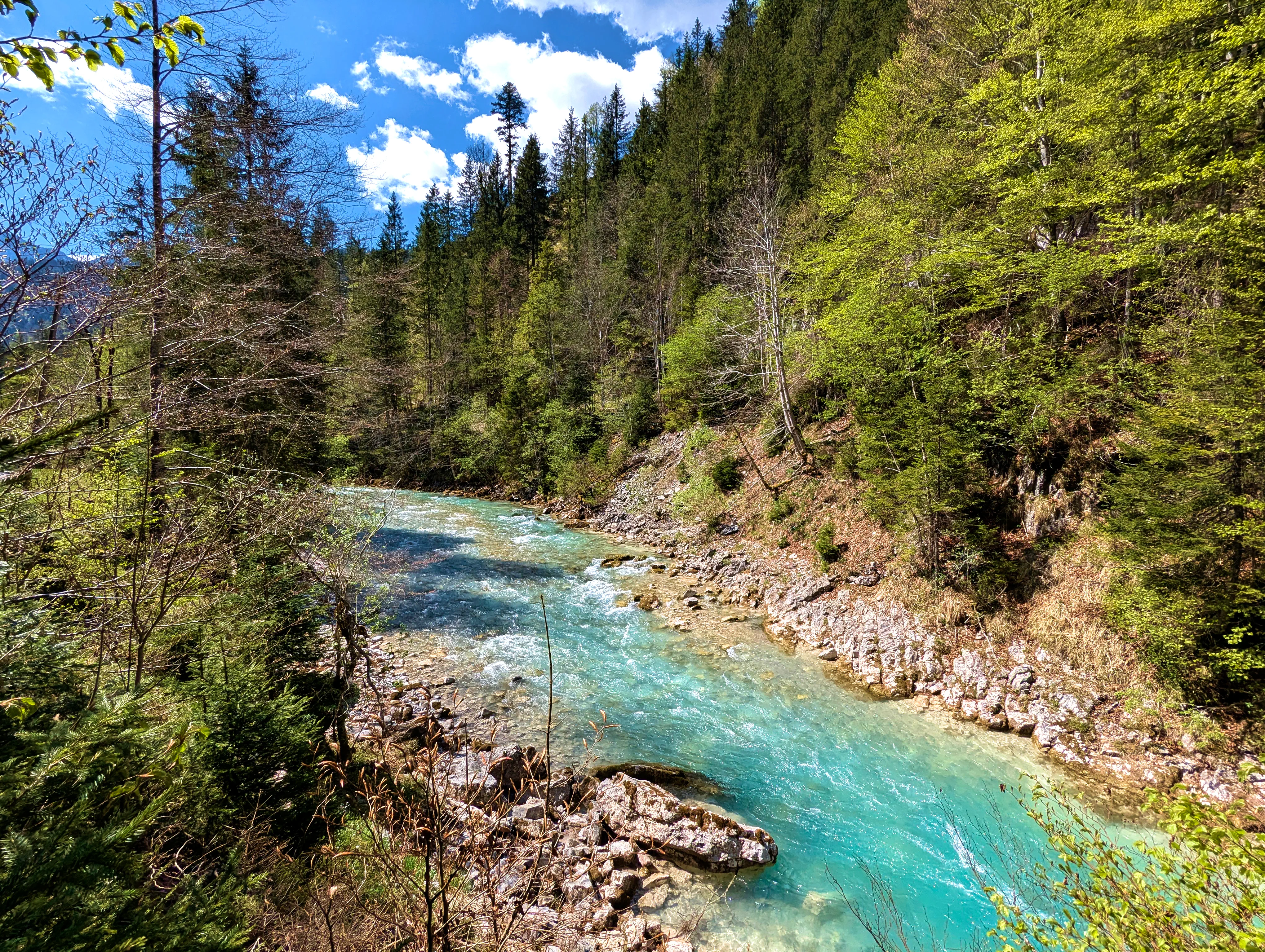 Blick auf den Rißbach