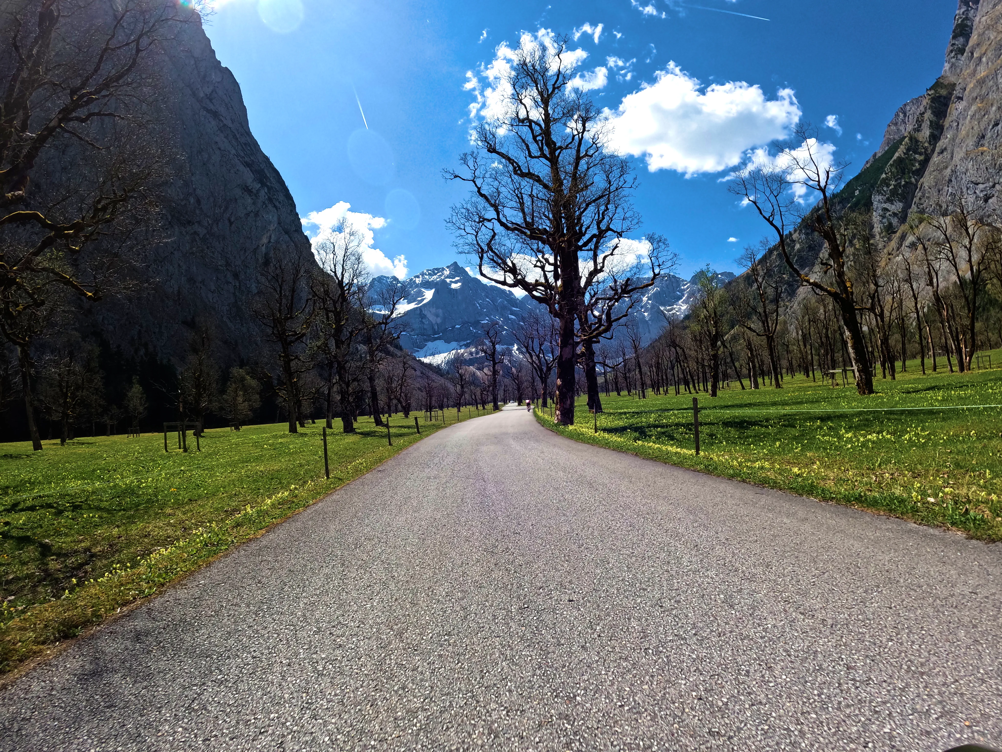 &hellip; Ahornbäumen.