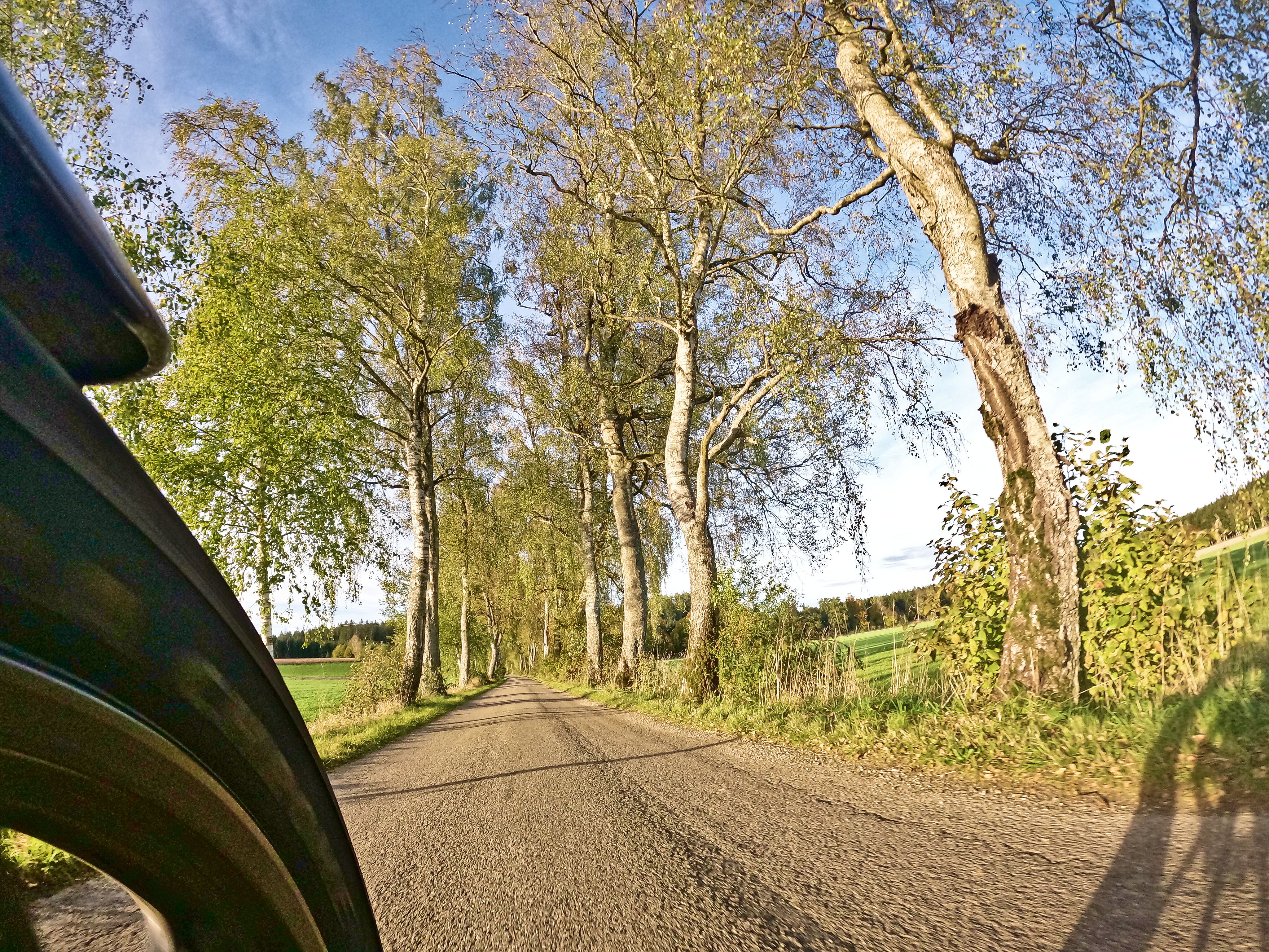 Bavarian Single Track Roads, #3