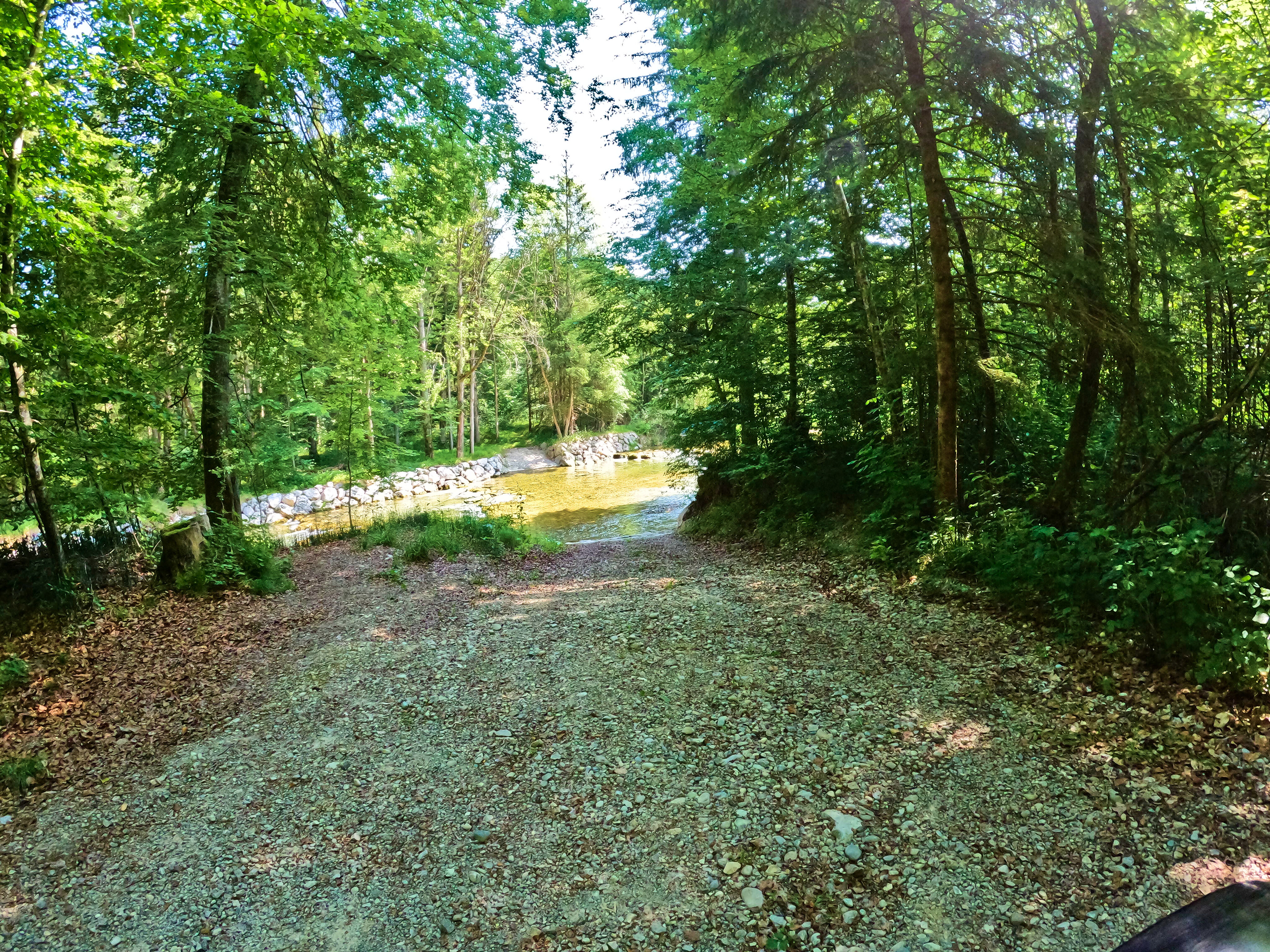 Die Bolt wagt &hellip;