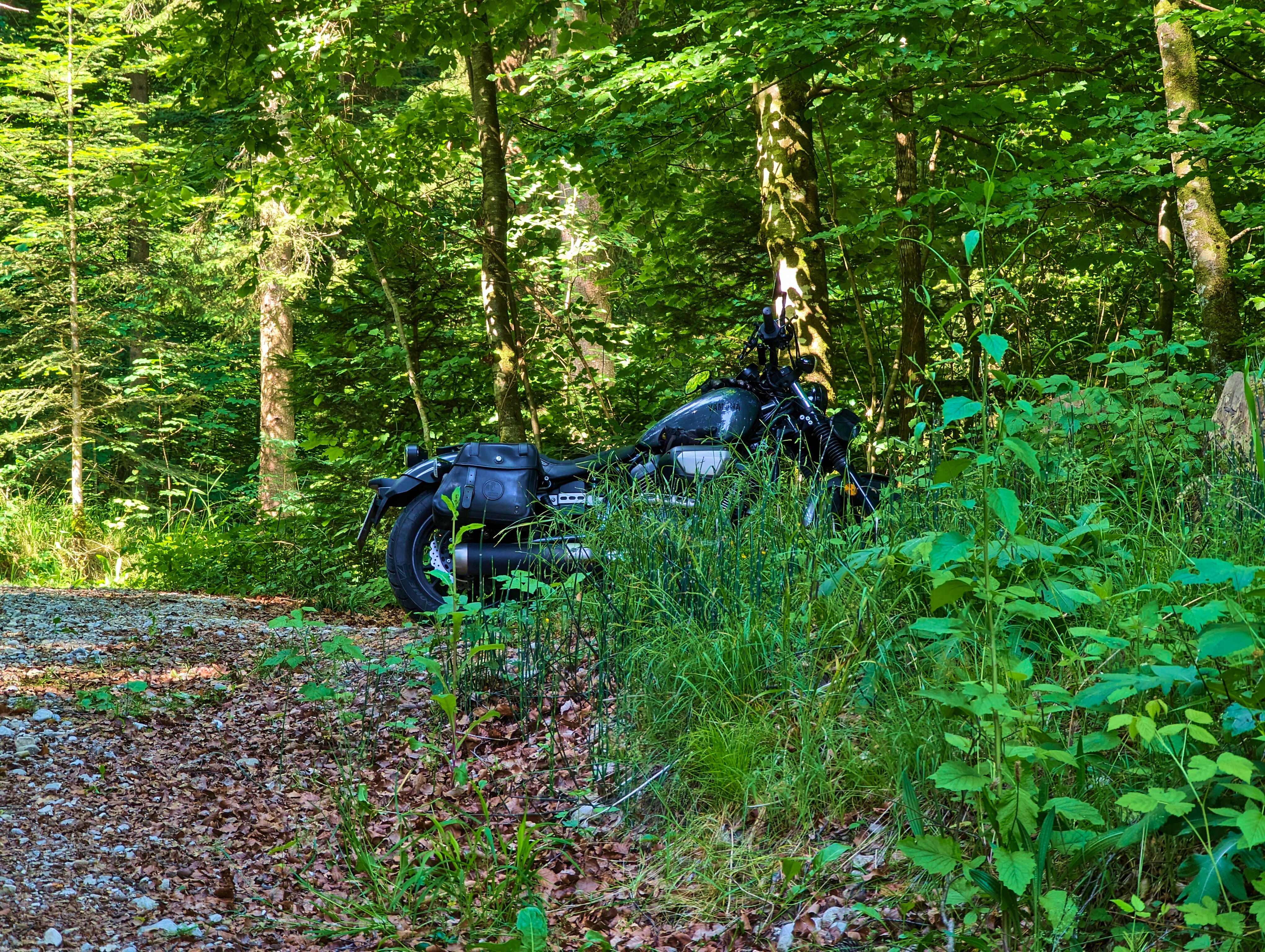 &hellip; sich ein paar Meter &hellip;