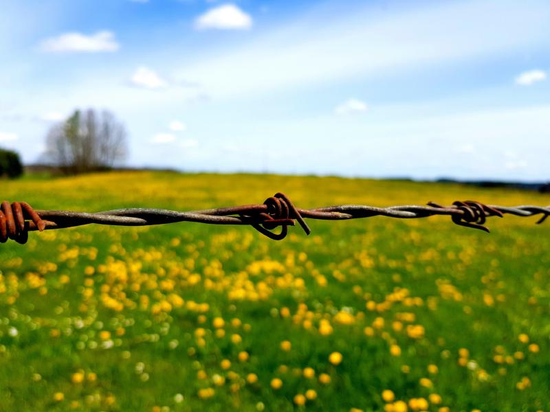 Featured image of post Symbolbild