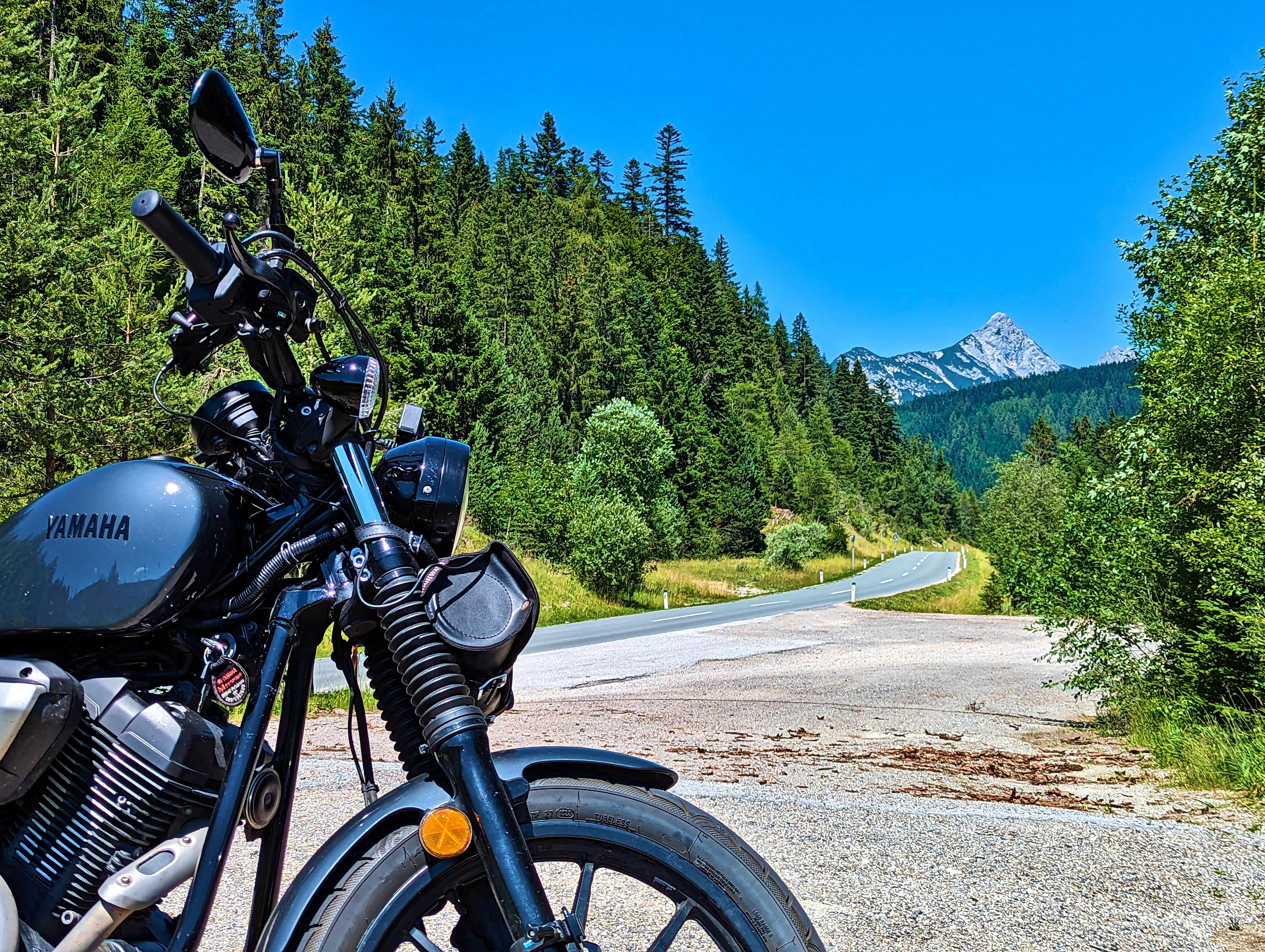 Wald- und Straßenbolt