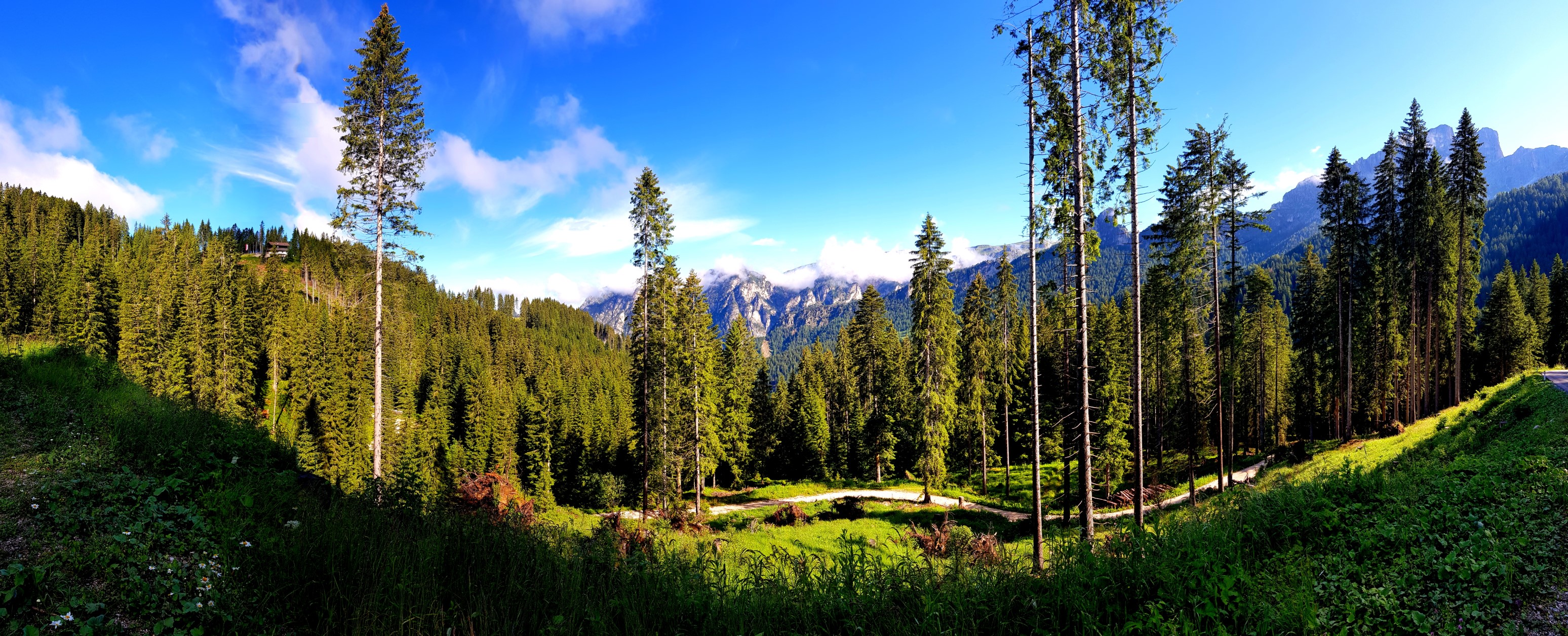 Auf dem Weg zum Nigerpass