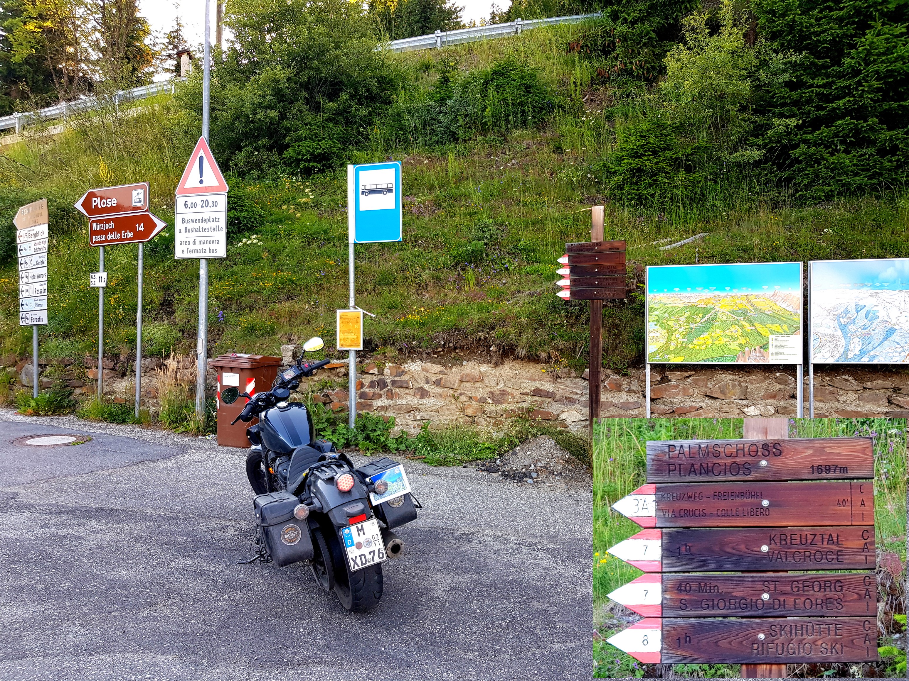 Nachweisbild Palmschoss