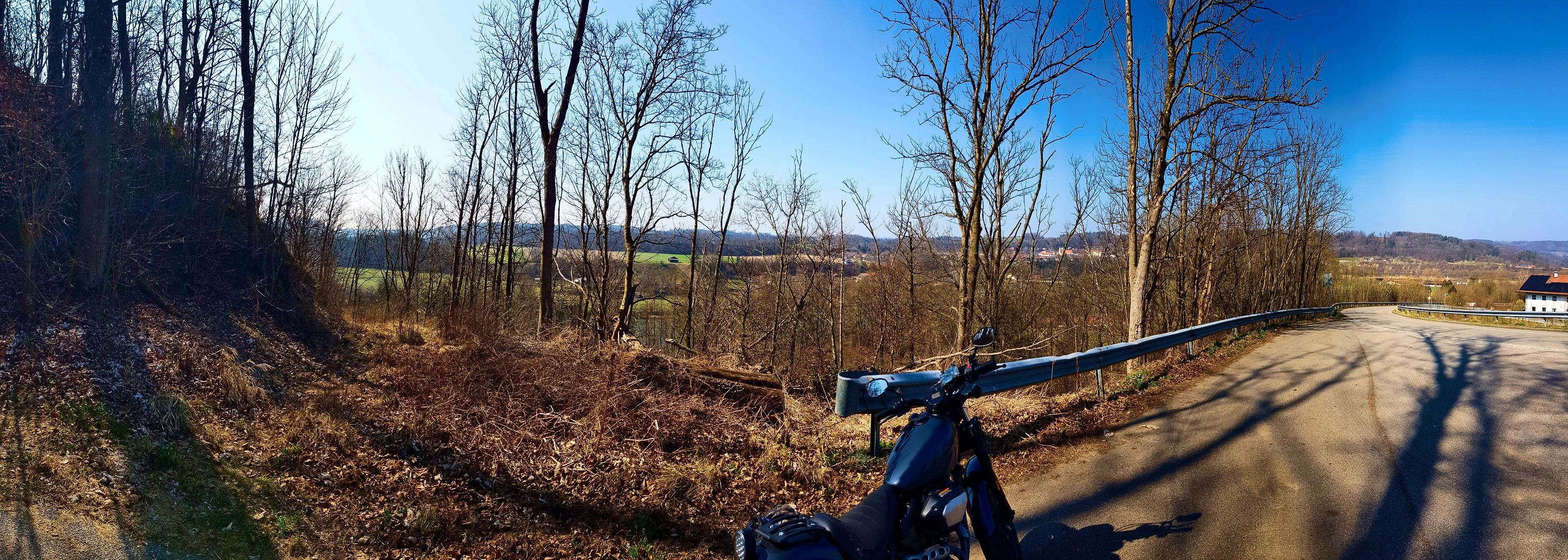 Hinterm Gestrüpp, da unten ist der Inn