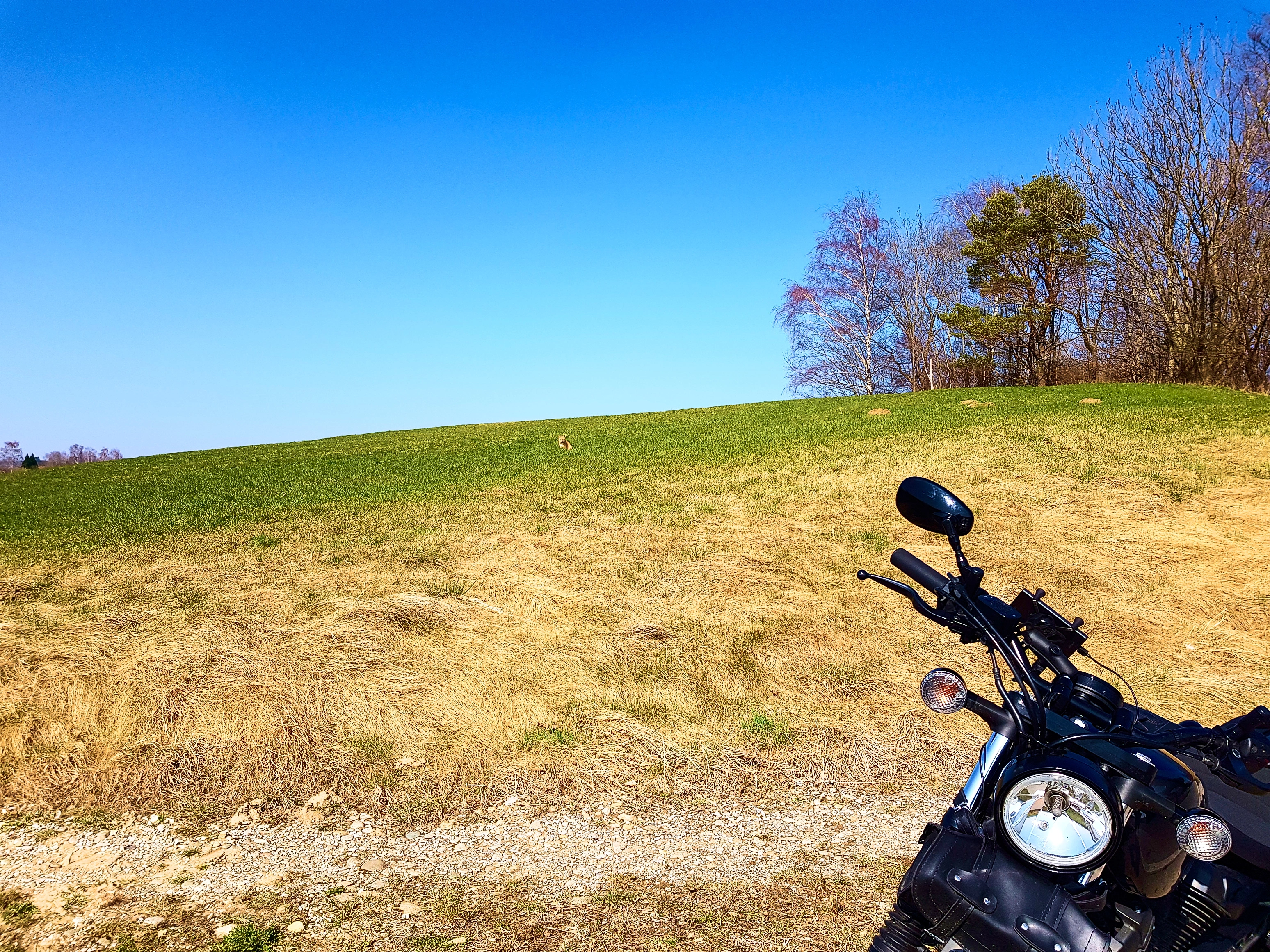 &hellip; wurde ich von &hellip;