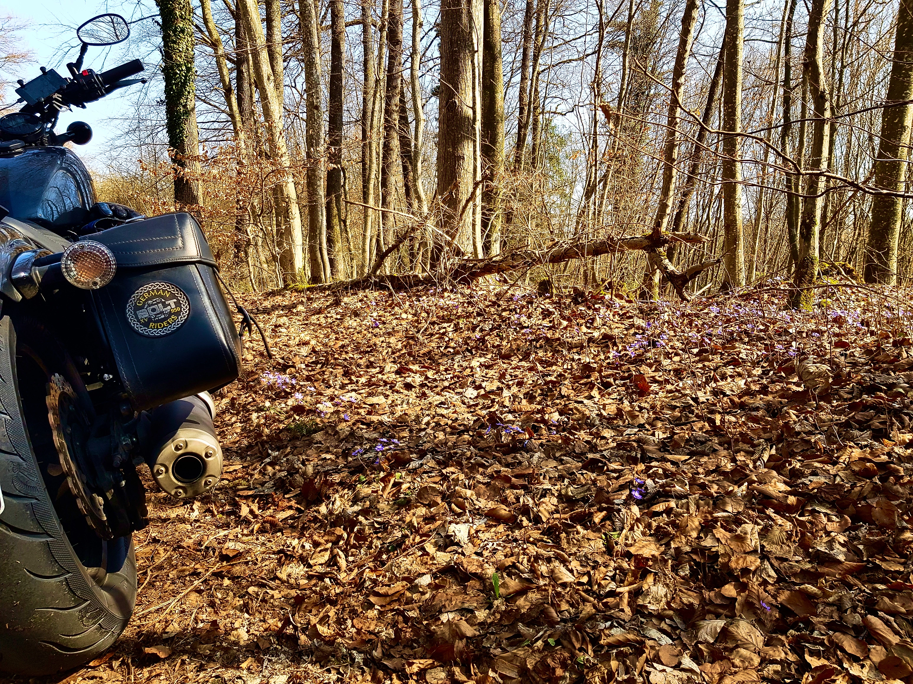Blümchen am Straßenrand