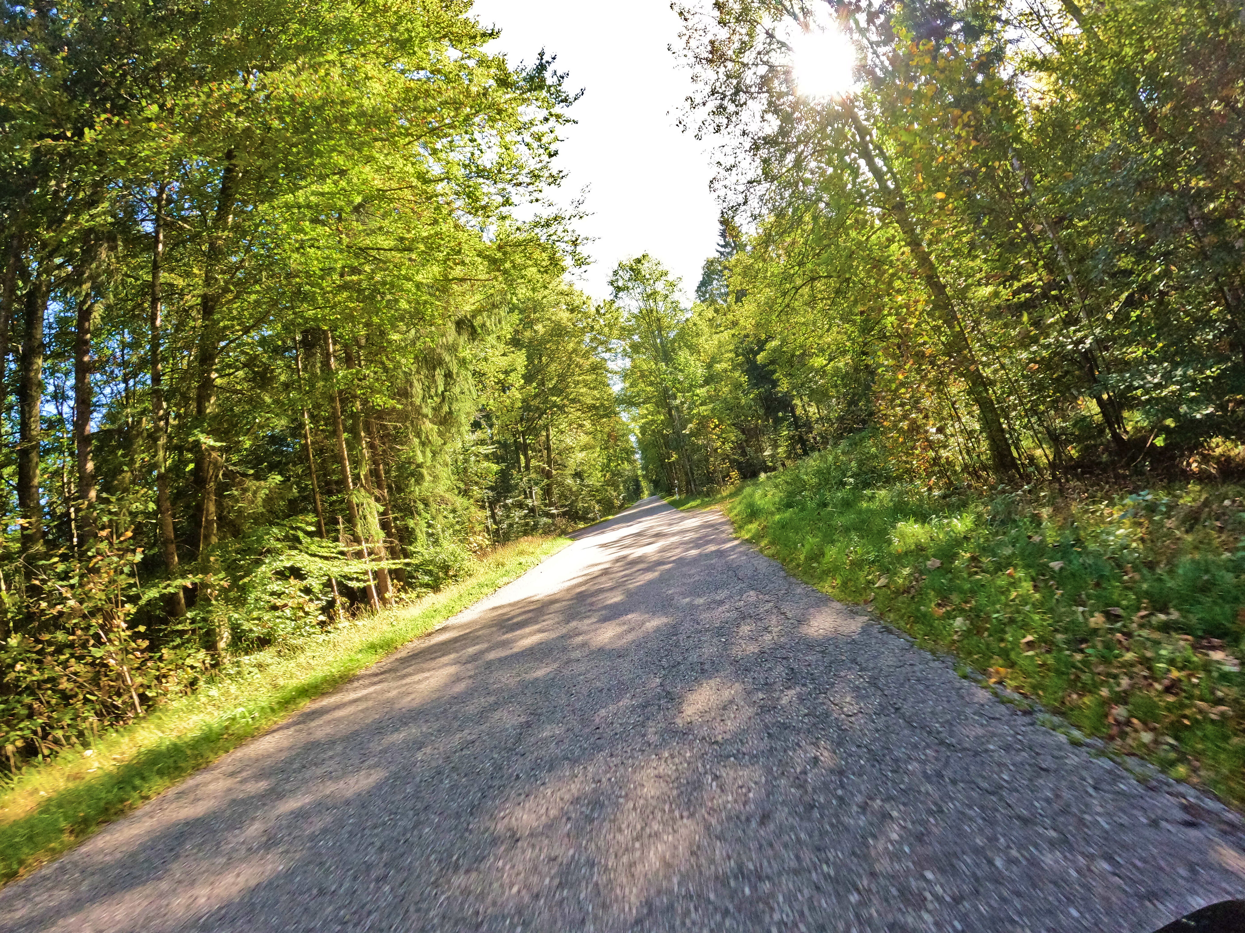 Kleine waldige Straßen