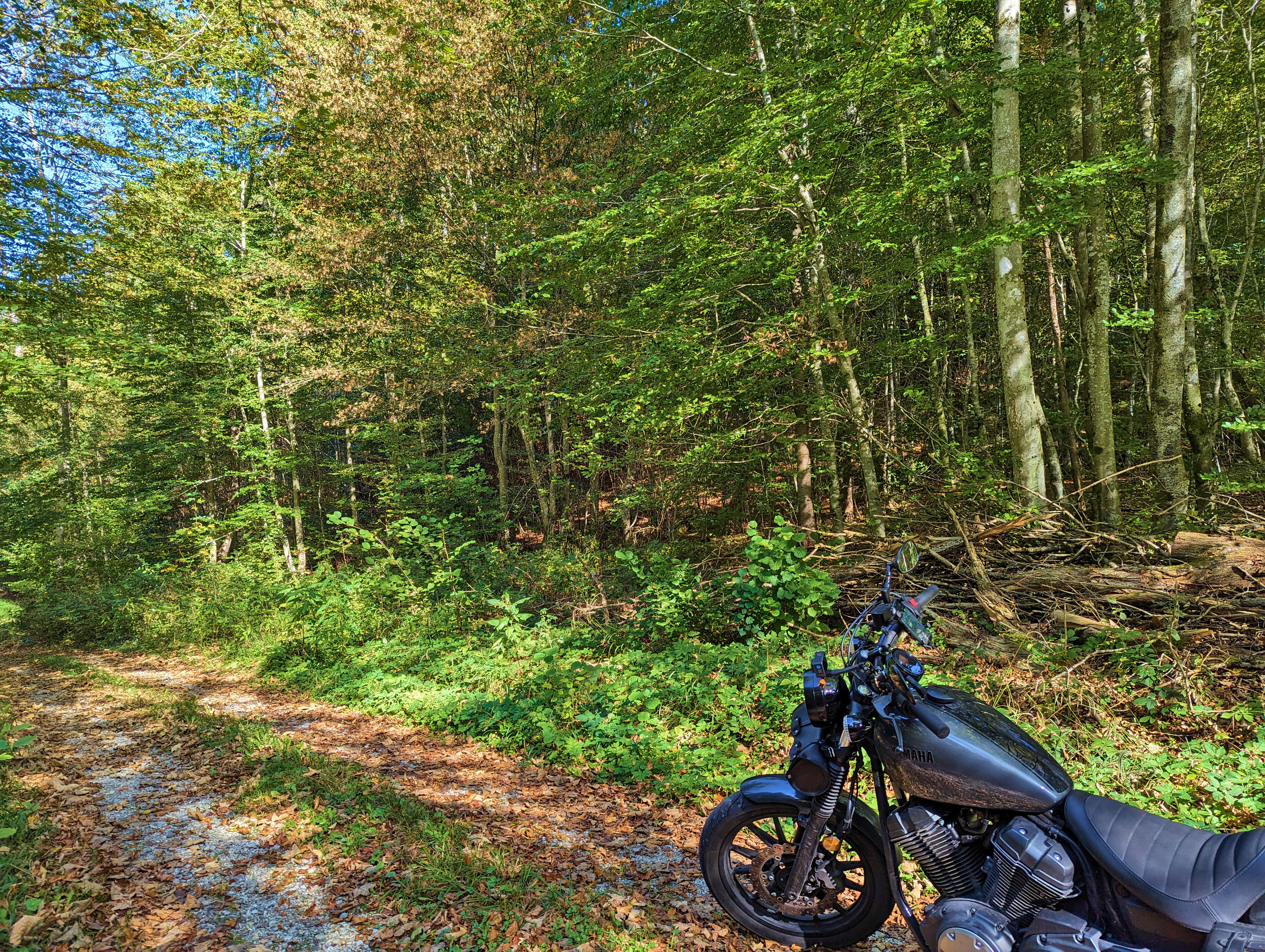 Und nochmal seitlich