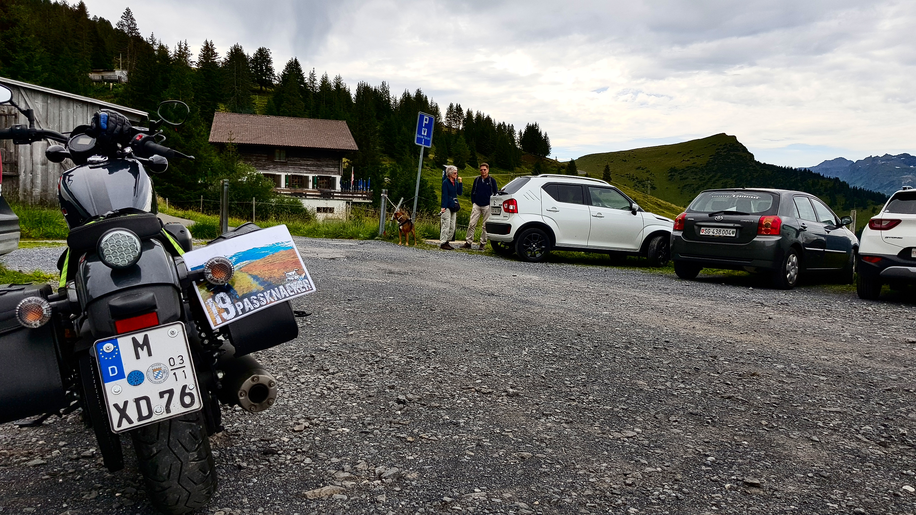 Passknacker-Nachweis, Palfries