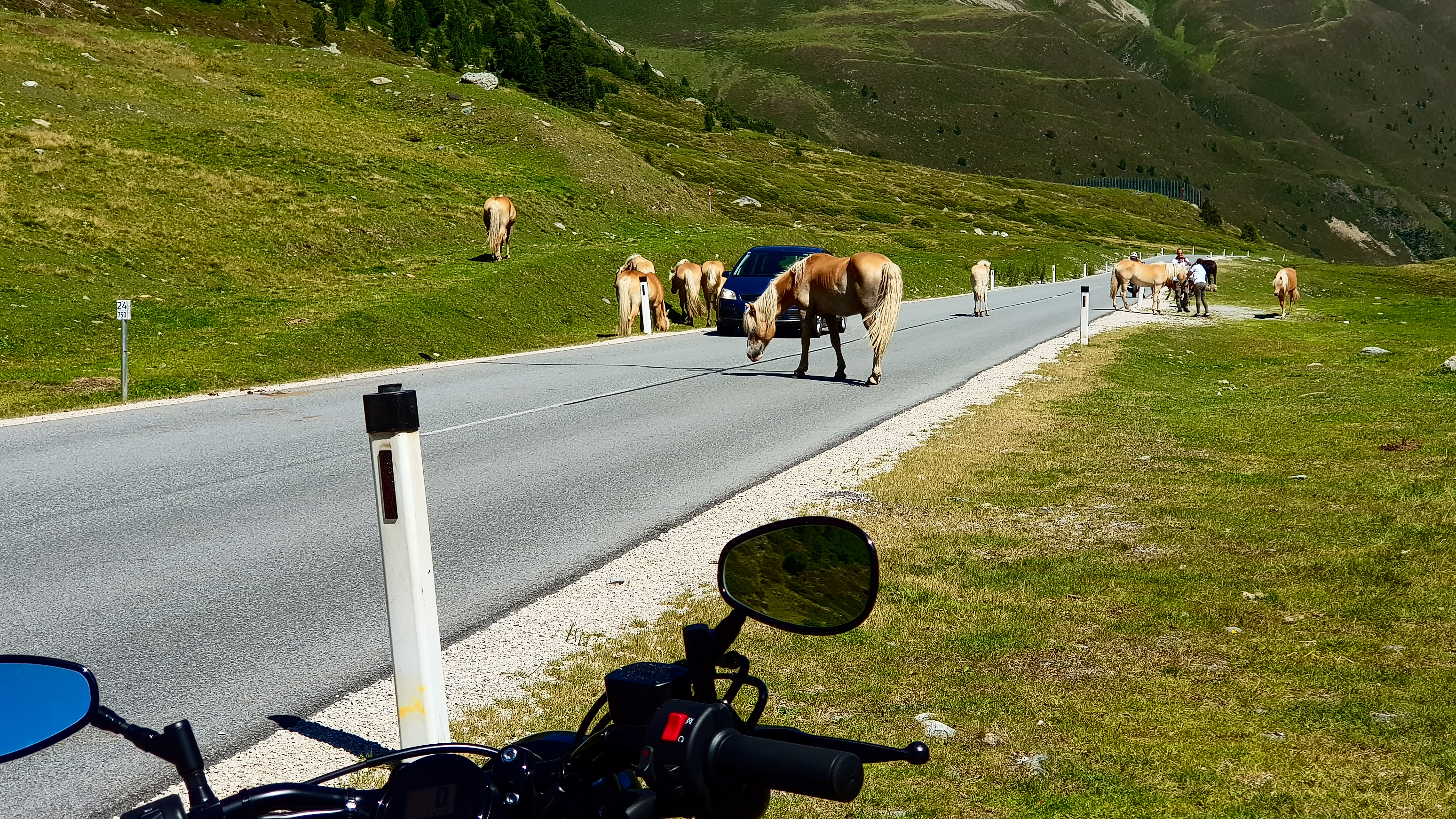 &hellip; die sich nicht &hellip;