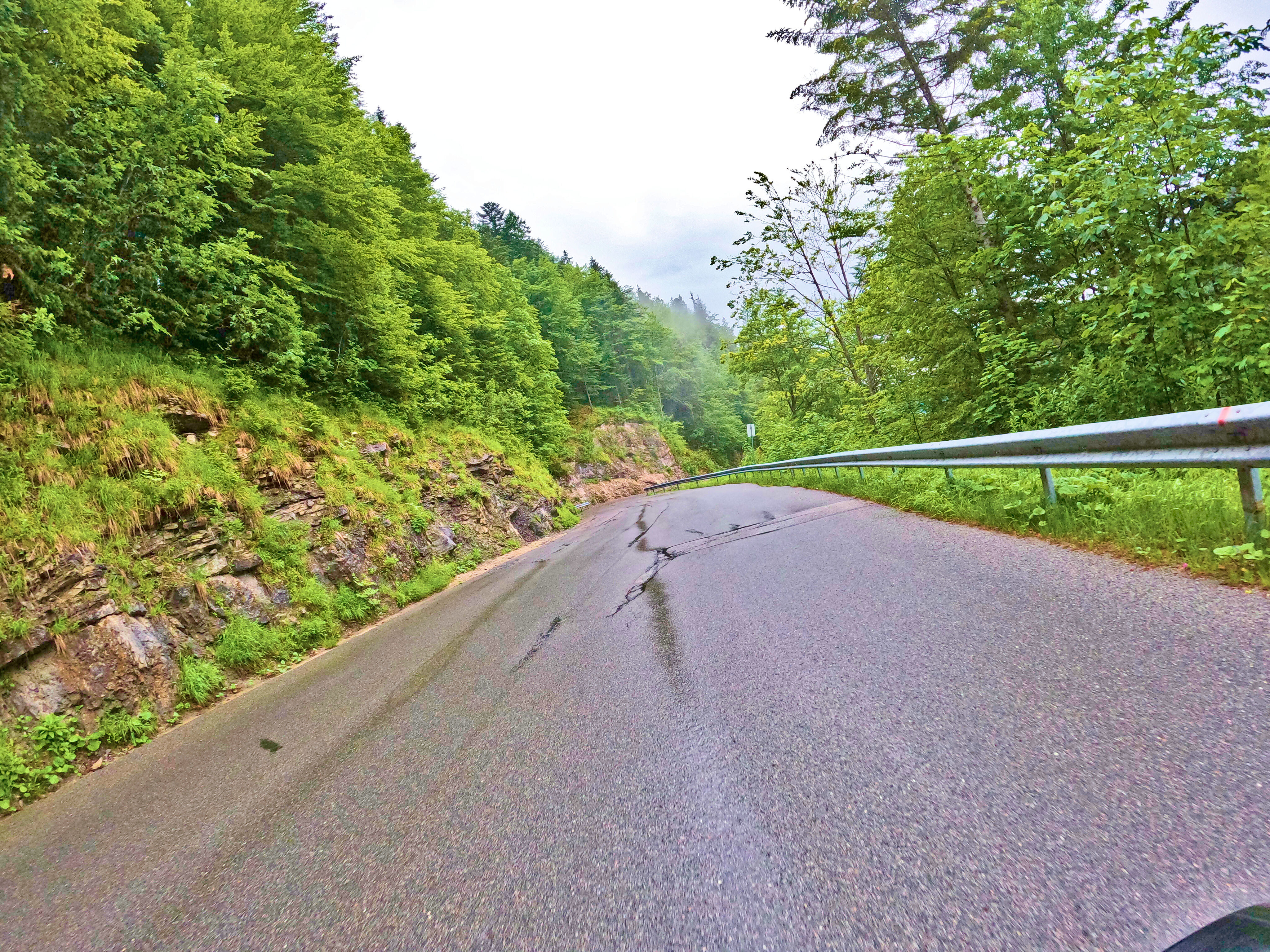 Auch bei feuchtem Wetter &hellip;