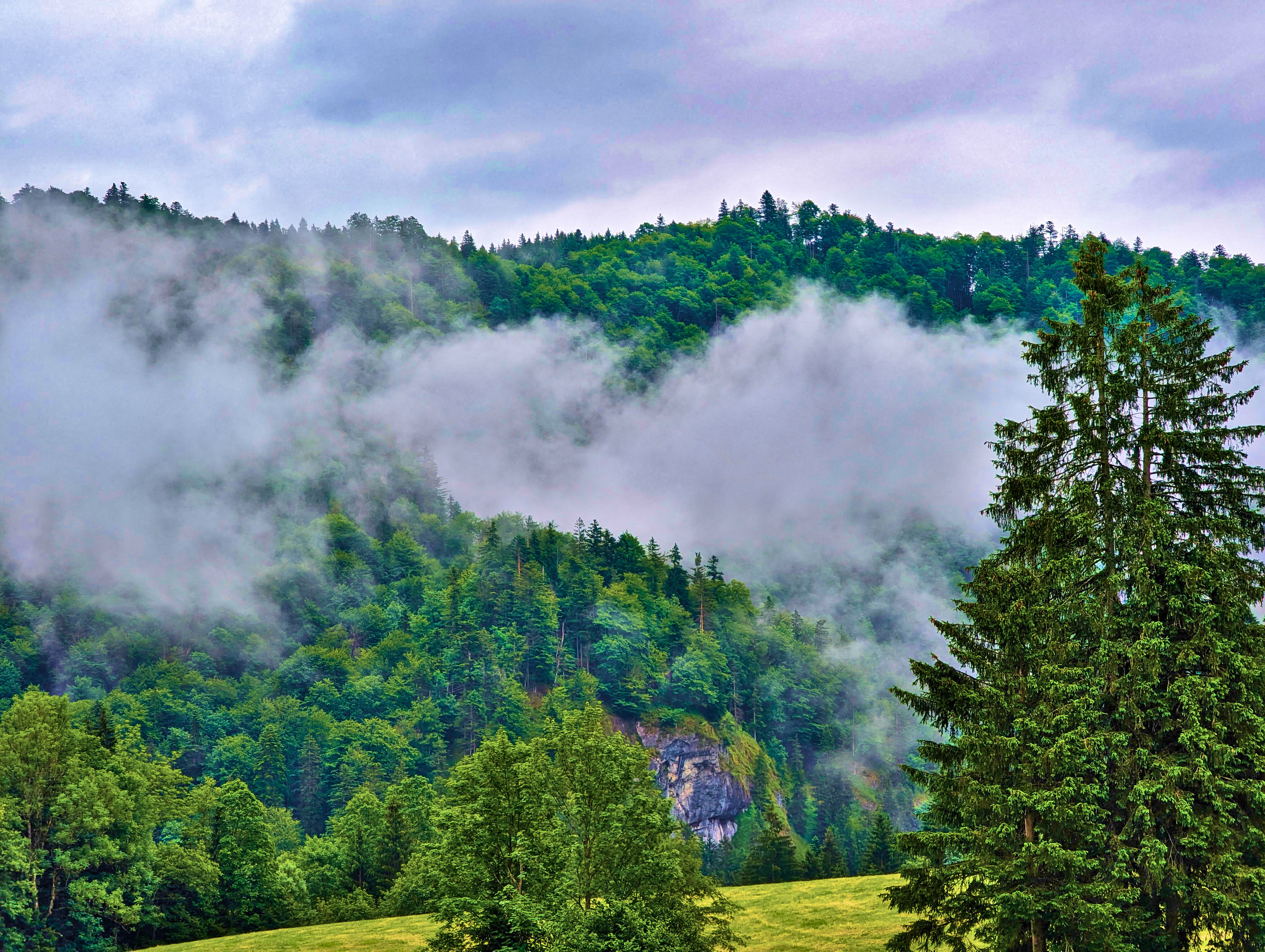 Wolken hängen in den Bäumen