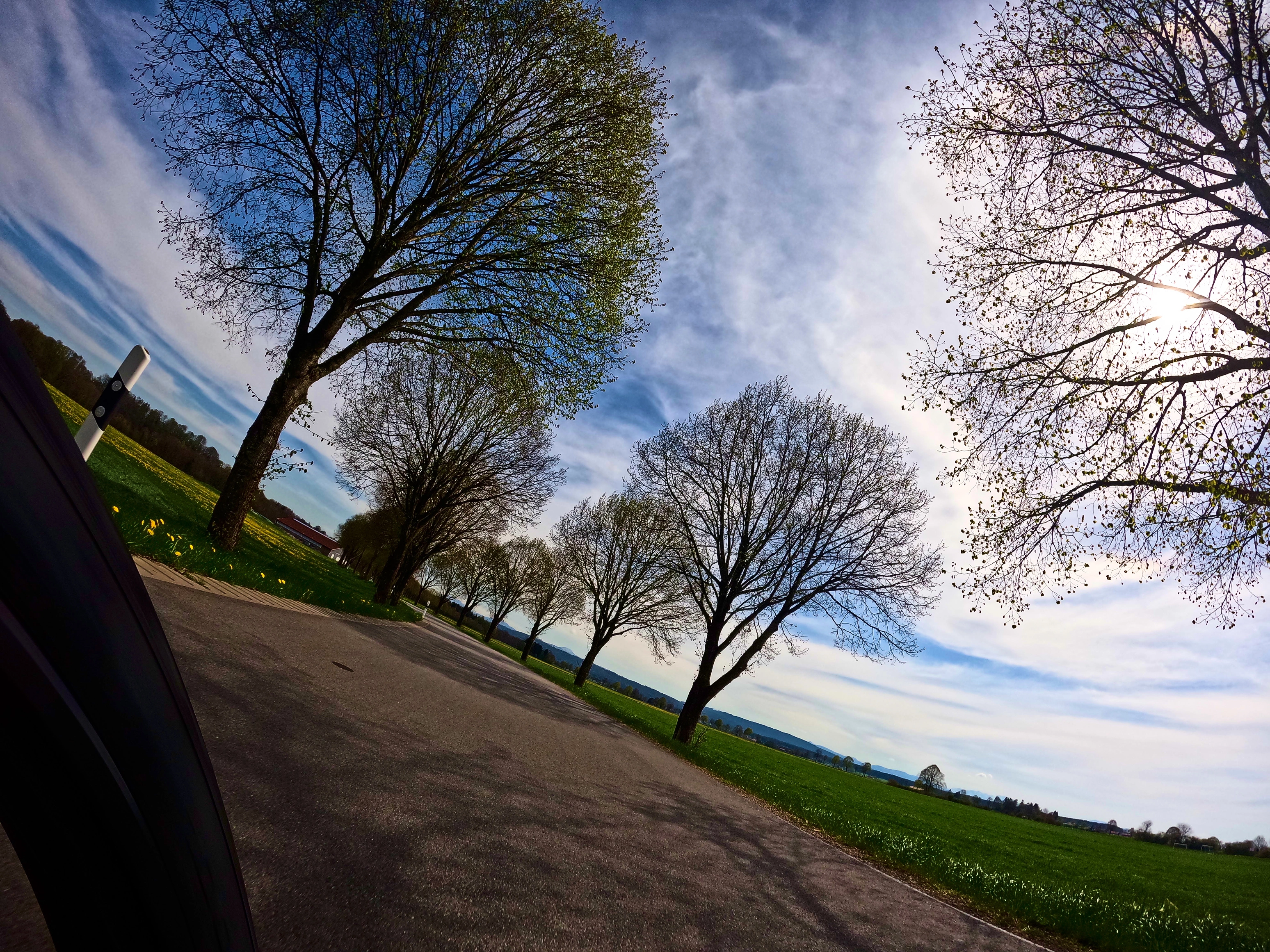 Und im Anschluss: eine Allee