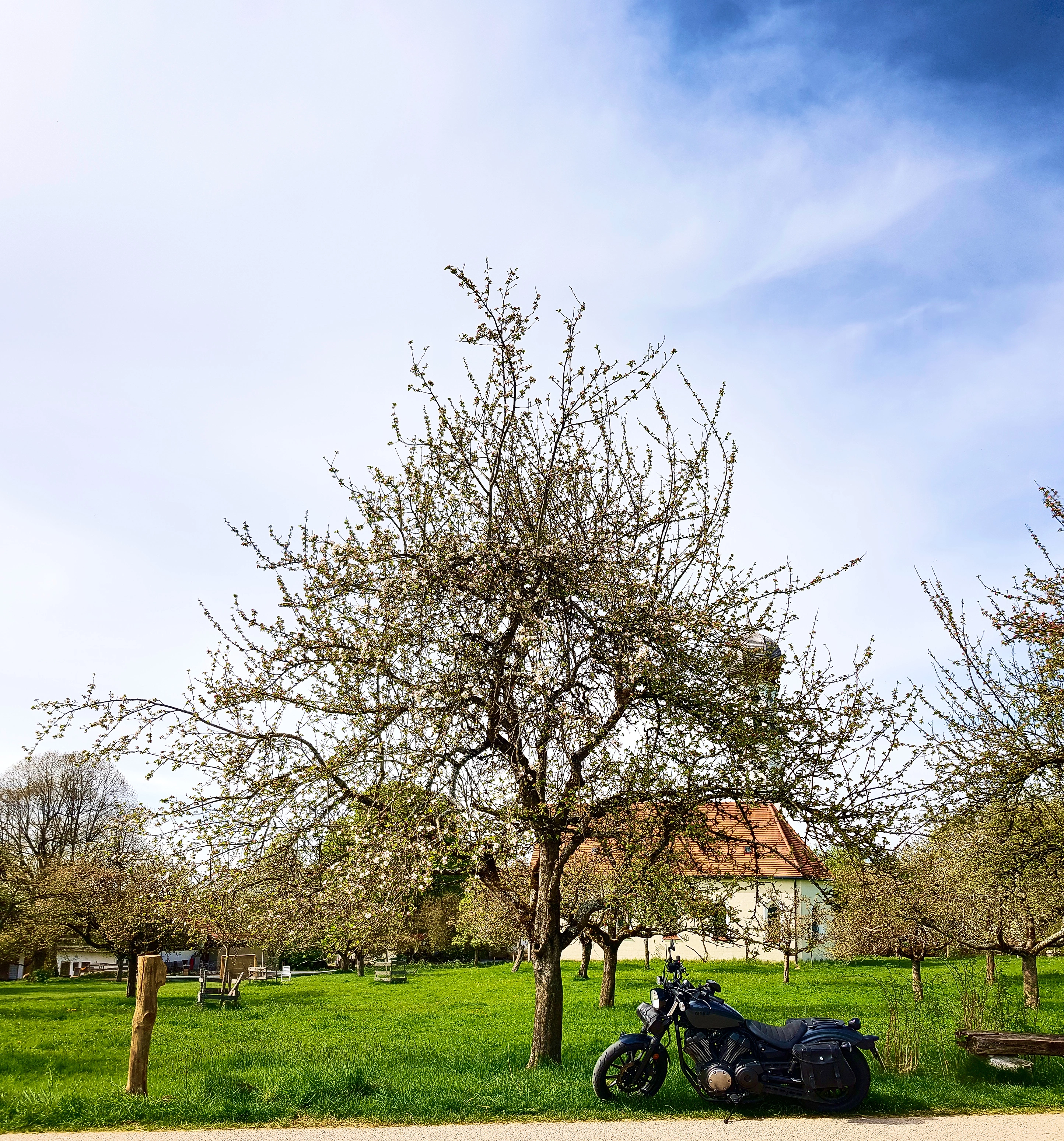 Bolt vor Baum und Bank –> BBB