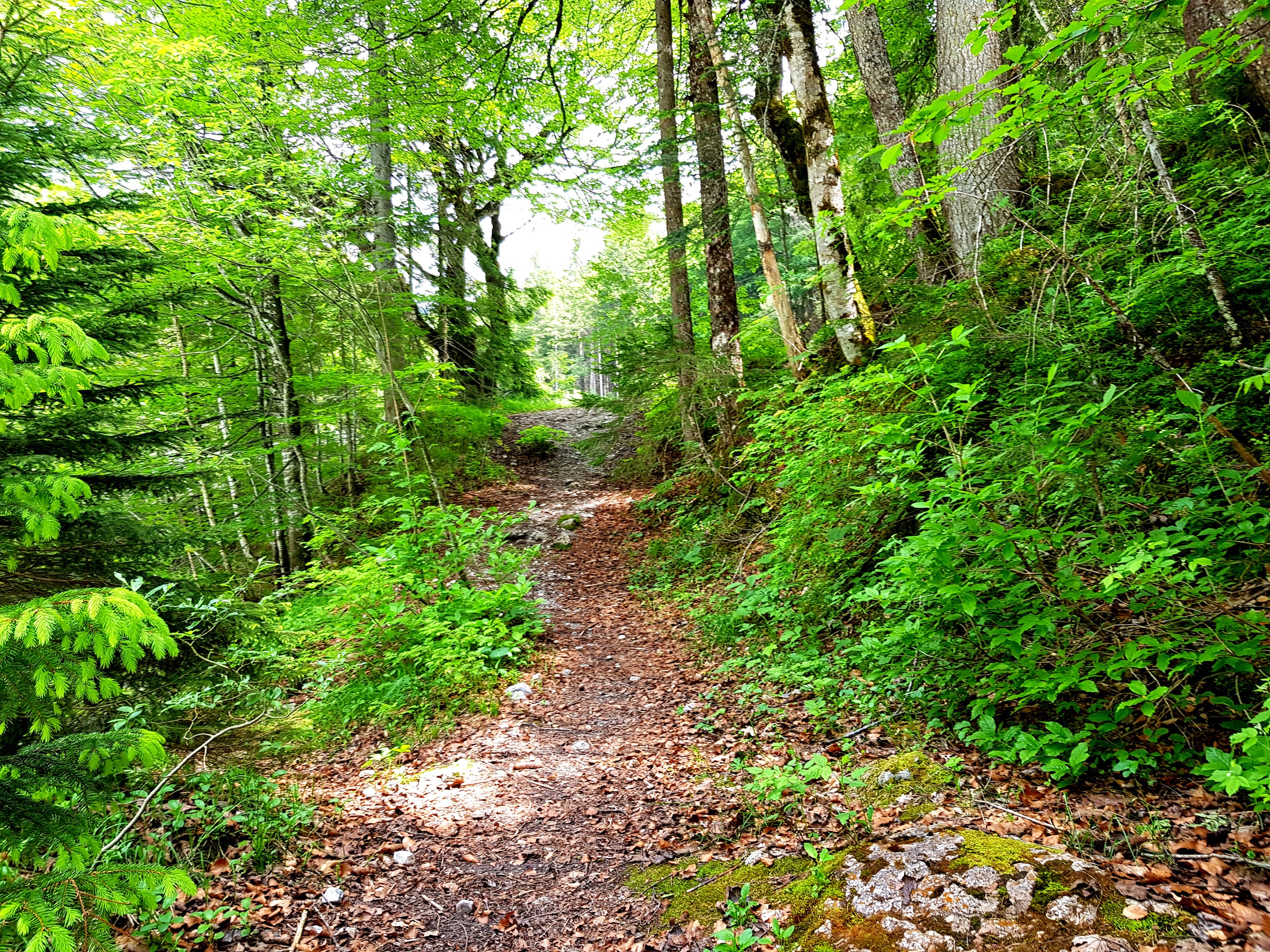 &hellip; einen kleinen Trampelpfad hinunter gestiegen&hellip;
