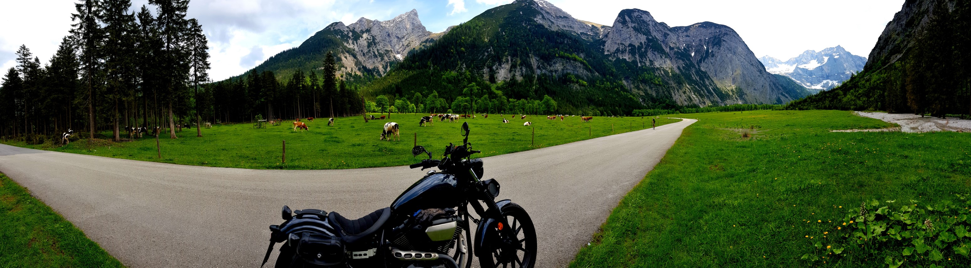 Berge, Kühe, Wiesen, kleine Straße und die Bolt - was will man mehr?