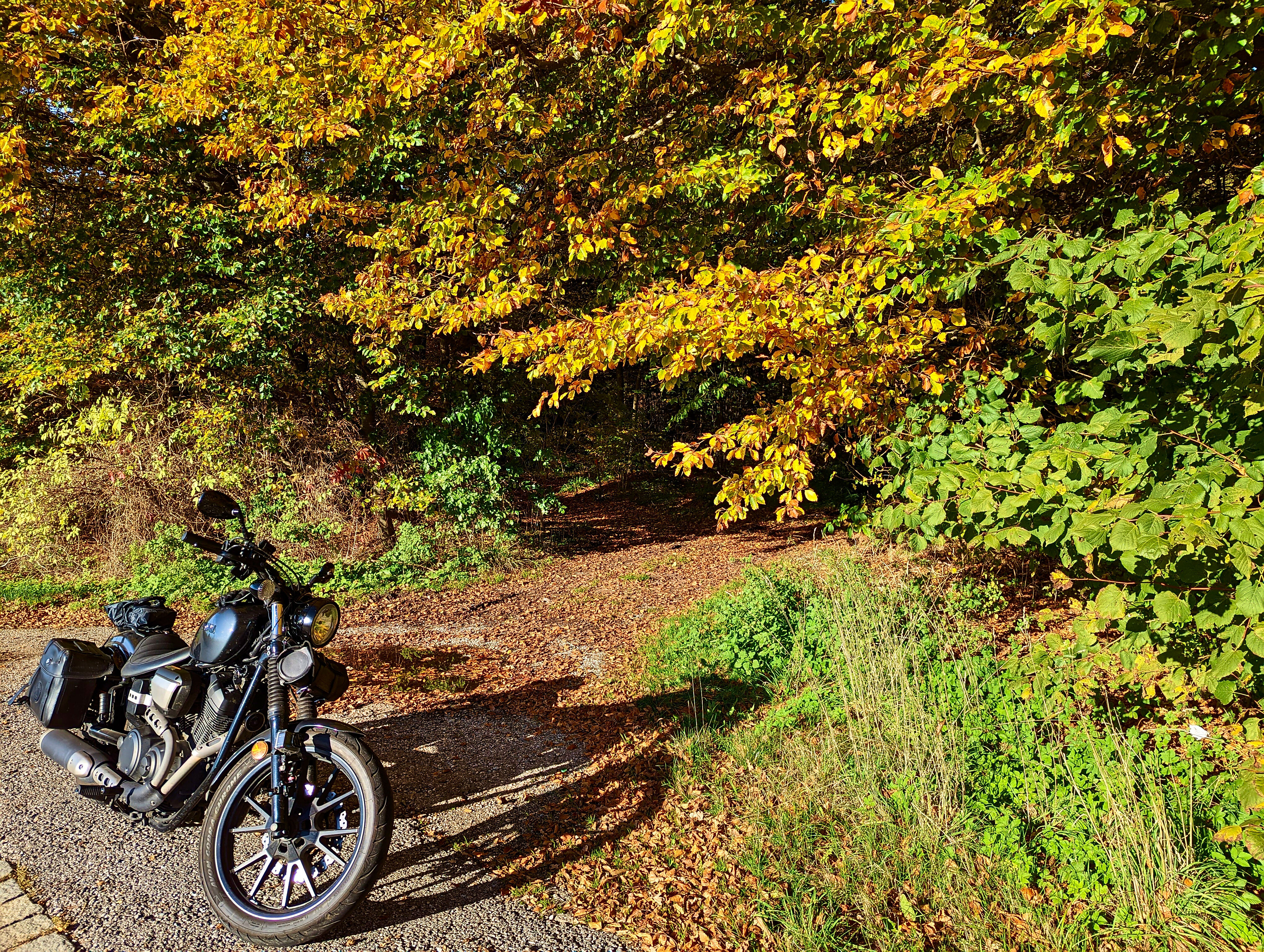 Der Herbst in vollem Gange