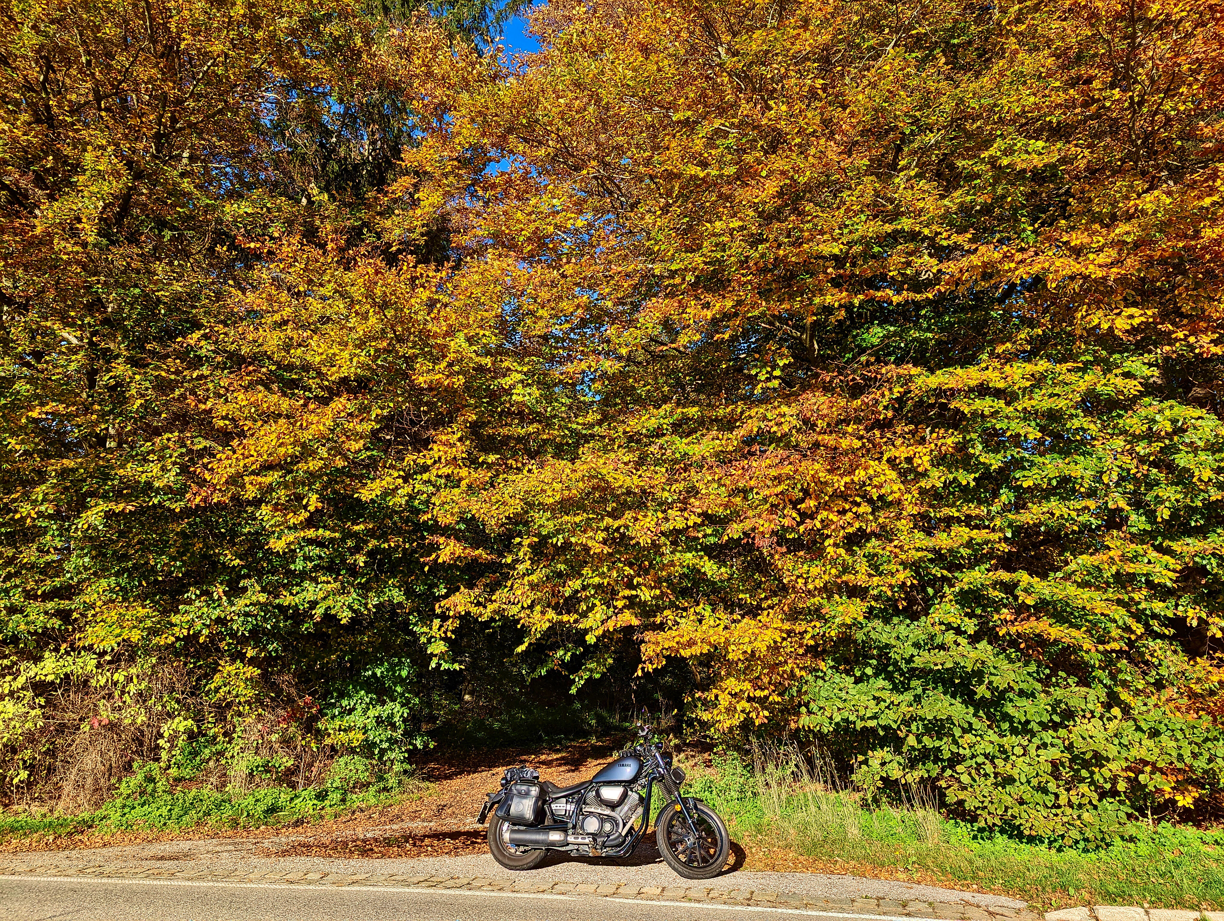 Der Herbst in vollem Gange