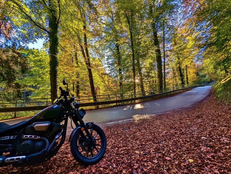 Featured image of post Von der Arbeit nach Hause im Oktober, südlich