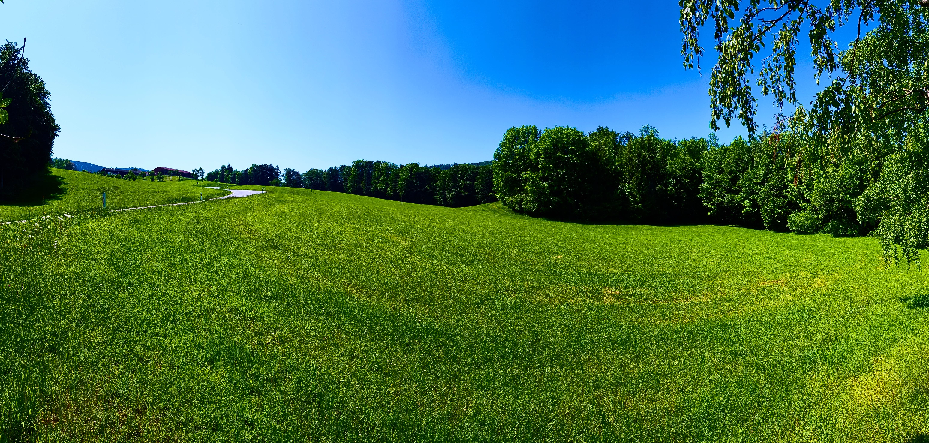 Bild 2: kurvige Straße im Grünen