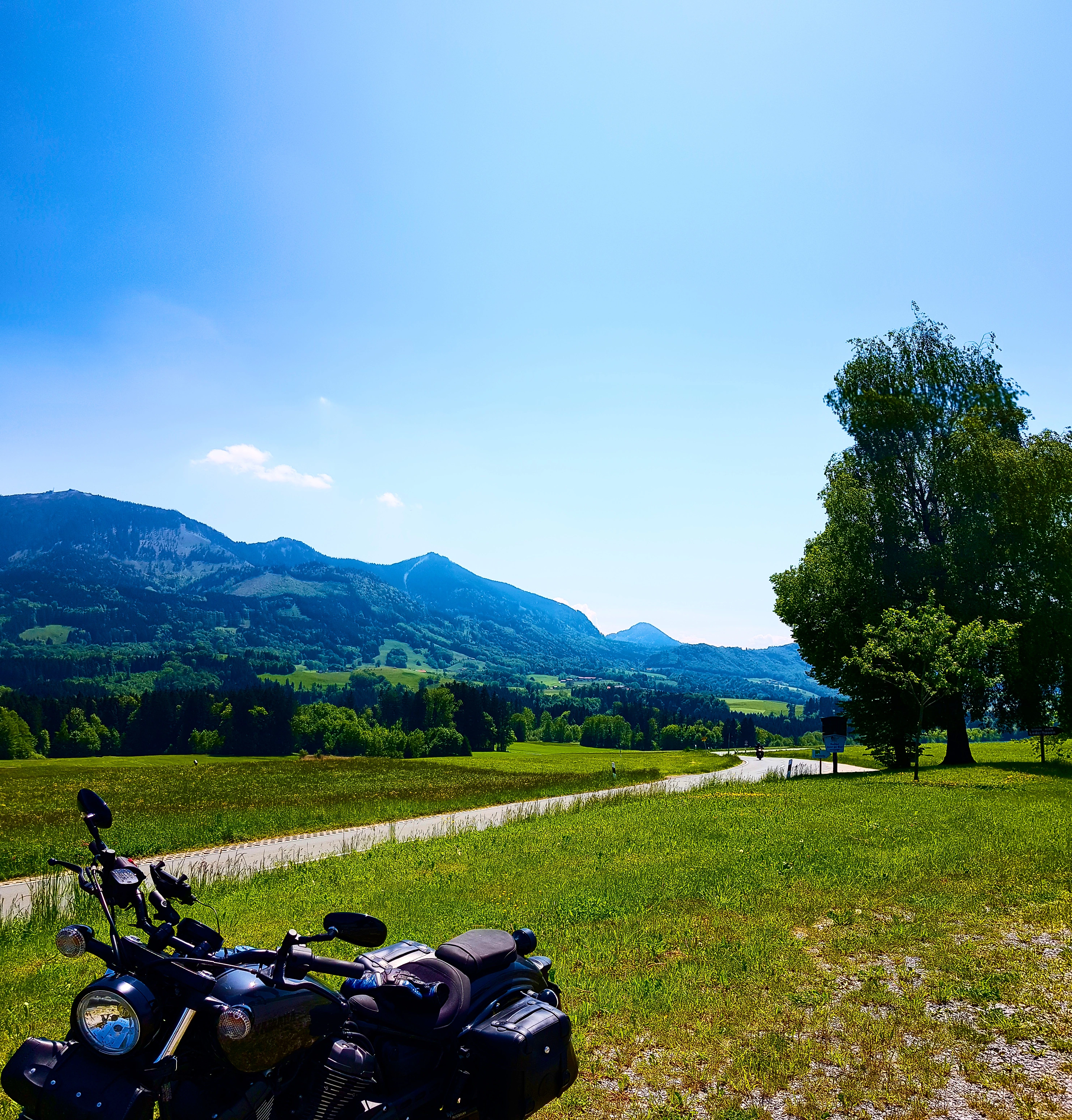 Bild 3: schoschee, des Bayern!