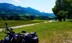 Featured image of post Warum in die Ferne schweifen, wenn das Gute liegt so nah?