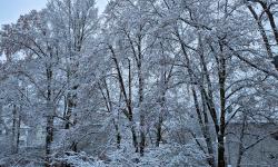 Featured image of post Wirrer Traum