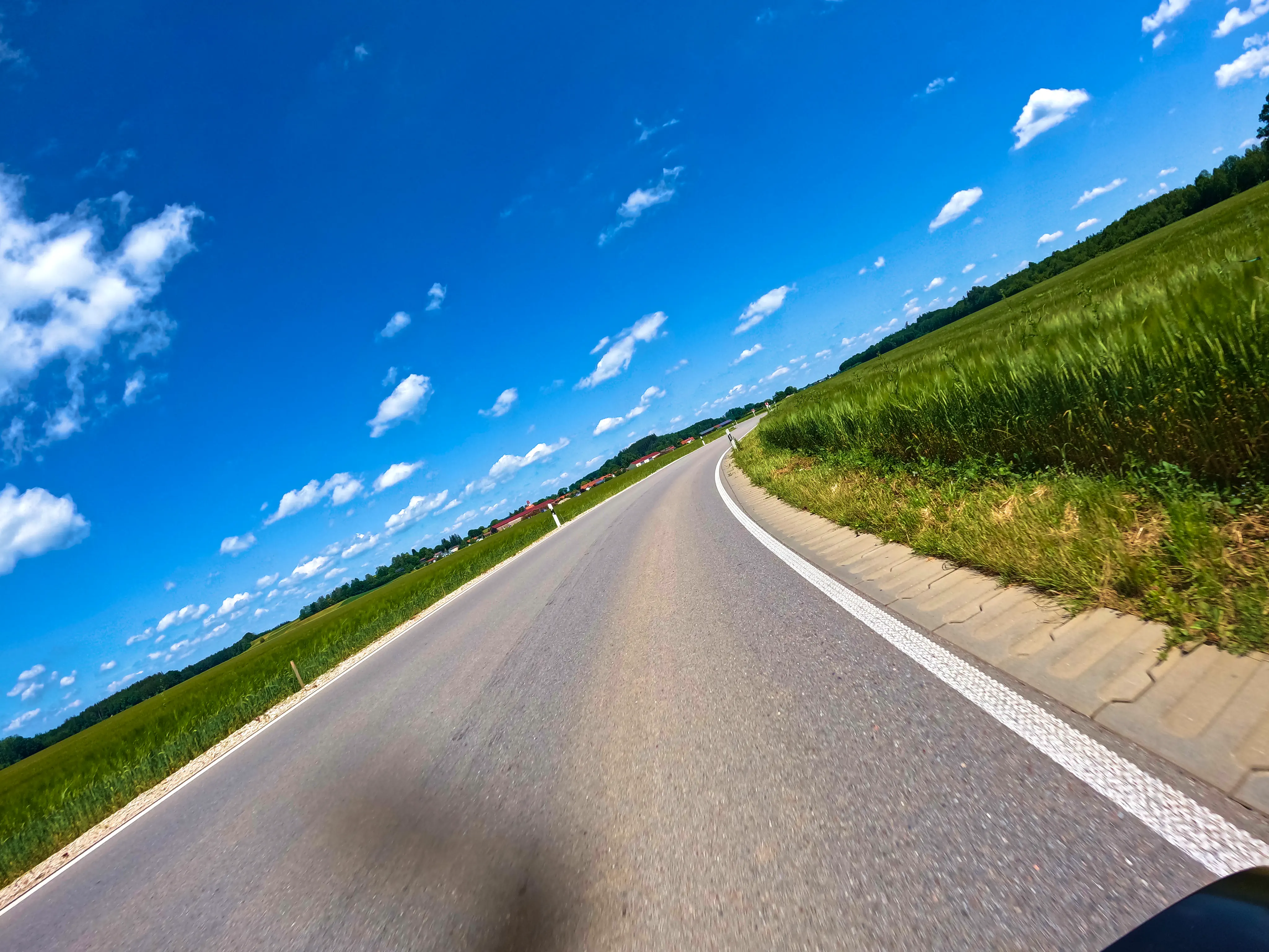 Und schon das erste Insekt &hellip;