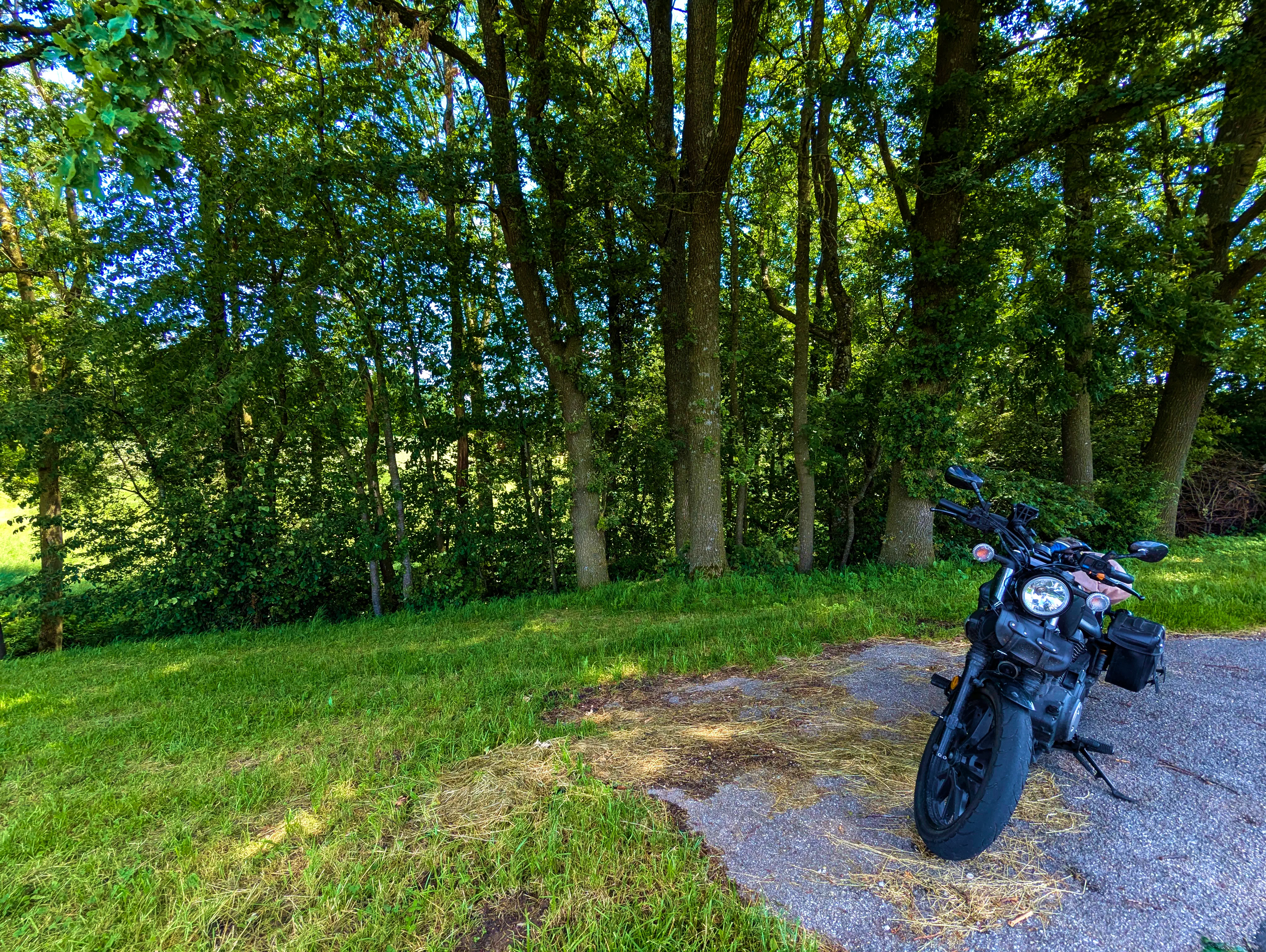 &hellip; Plötzchen &hellip;