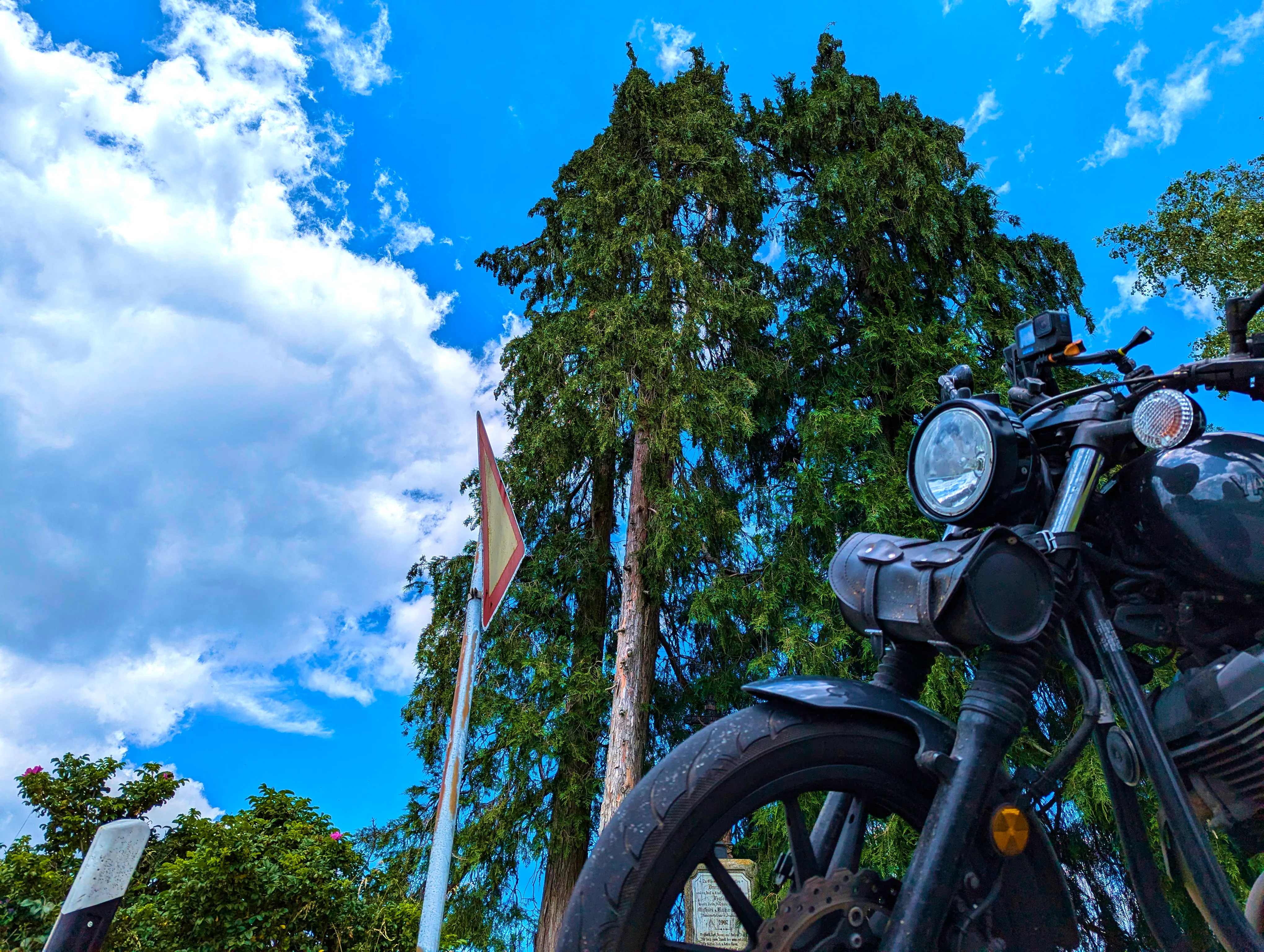 Dreckiges Motorrad vor hohen Bäumen