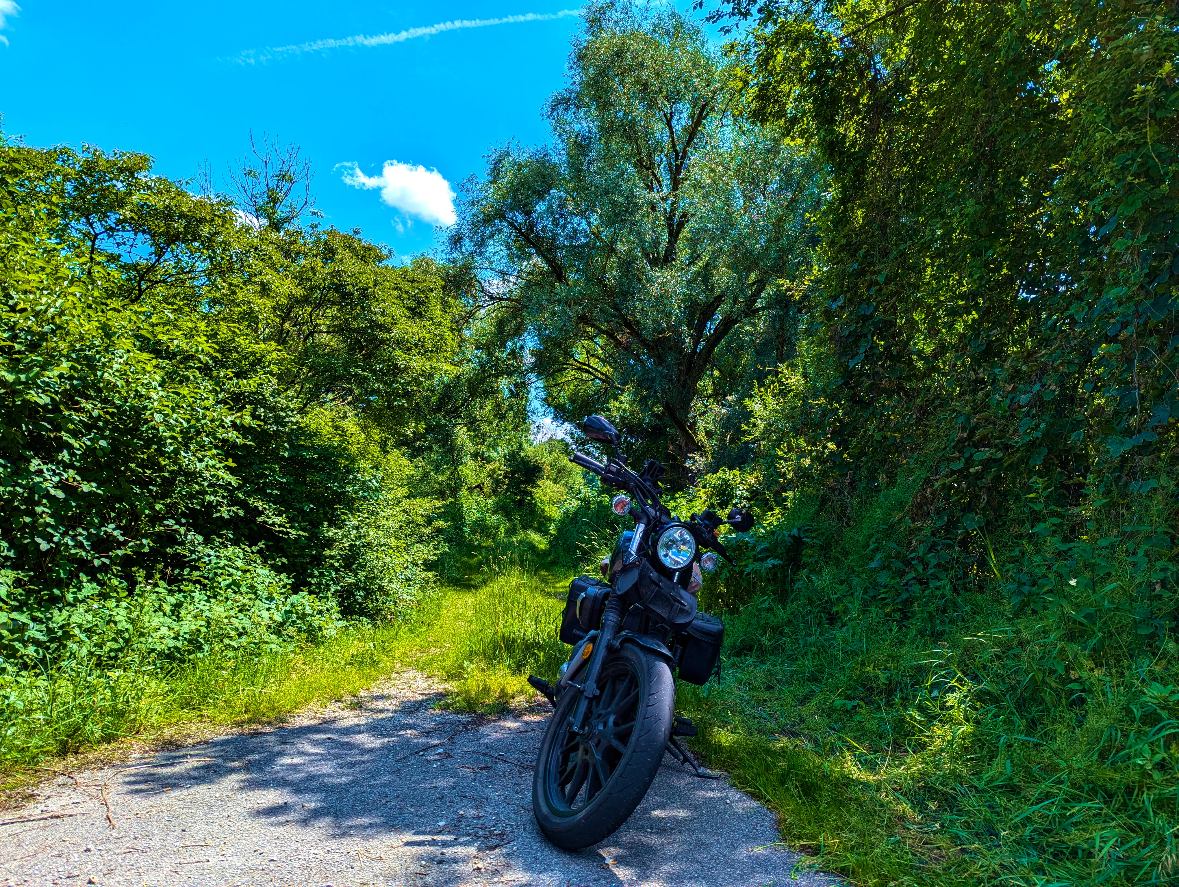 Kein Weg für die Bolt